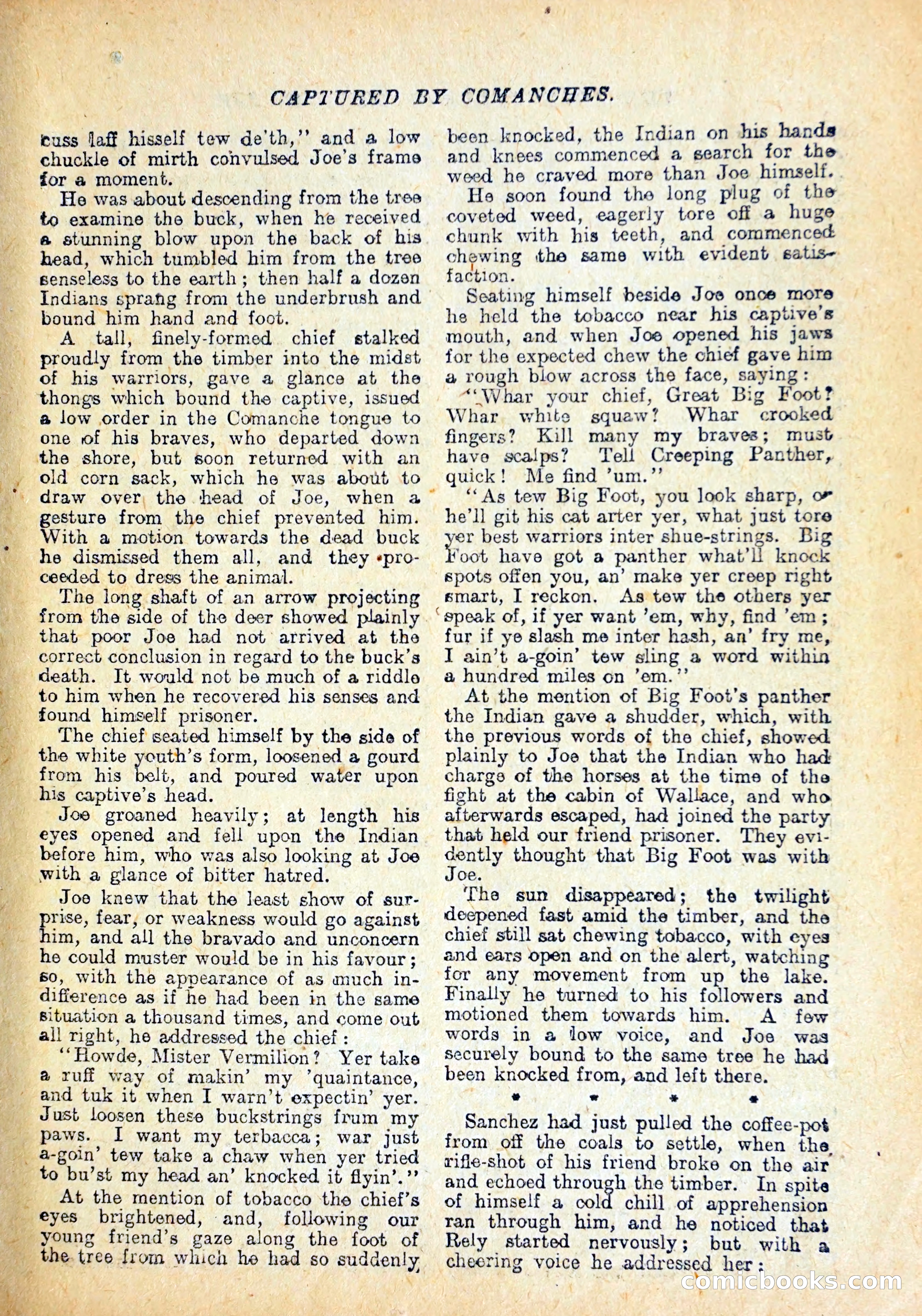 Buffalo Bill Library No. 147: The Adventures of Mexican Joe — page 20 of 37