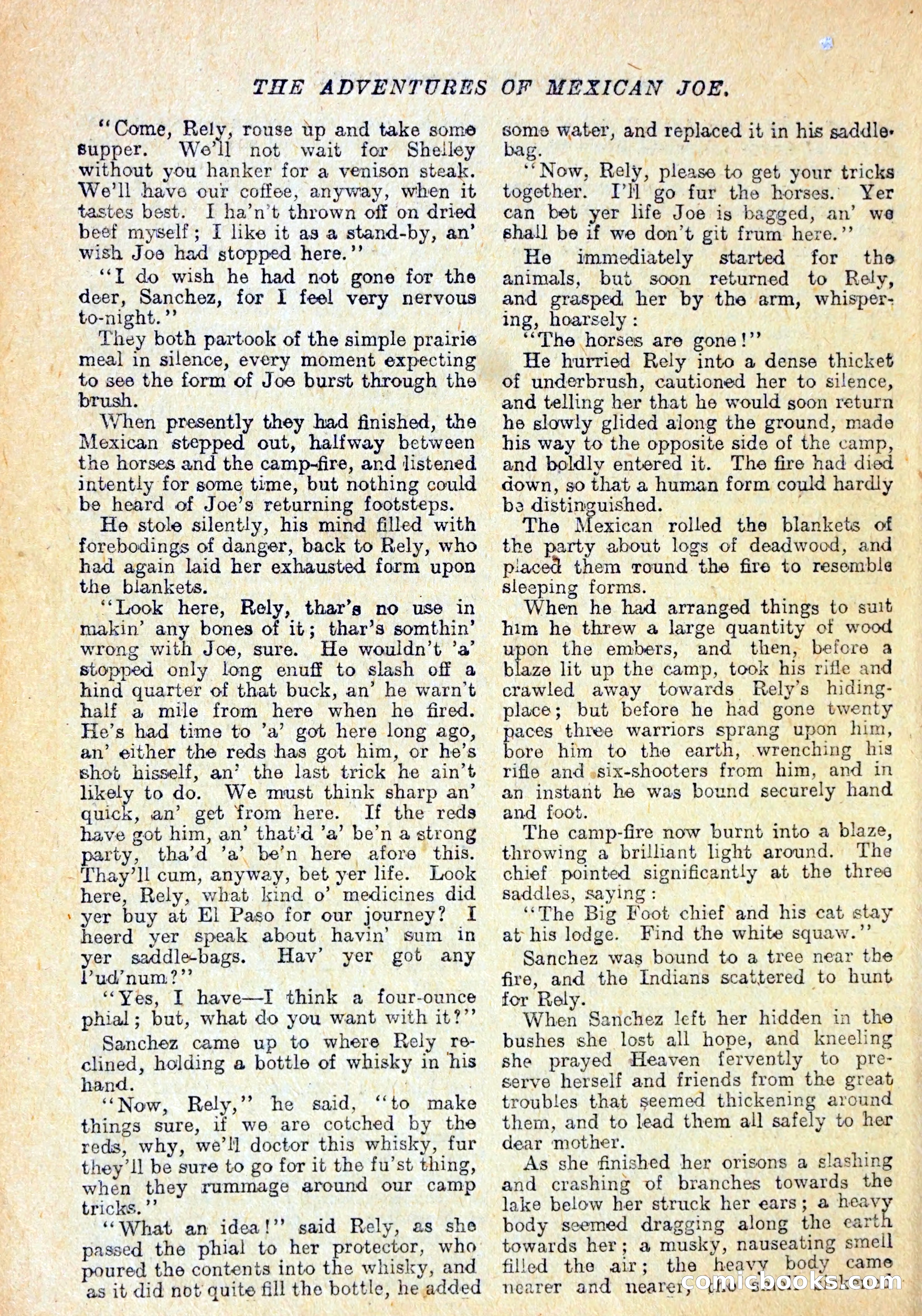 Buffalo Bill Library No. 147: The Adventures of Mexican Joe — page 21 of 37