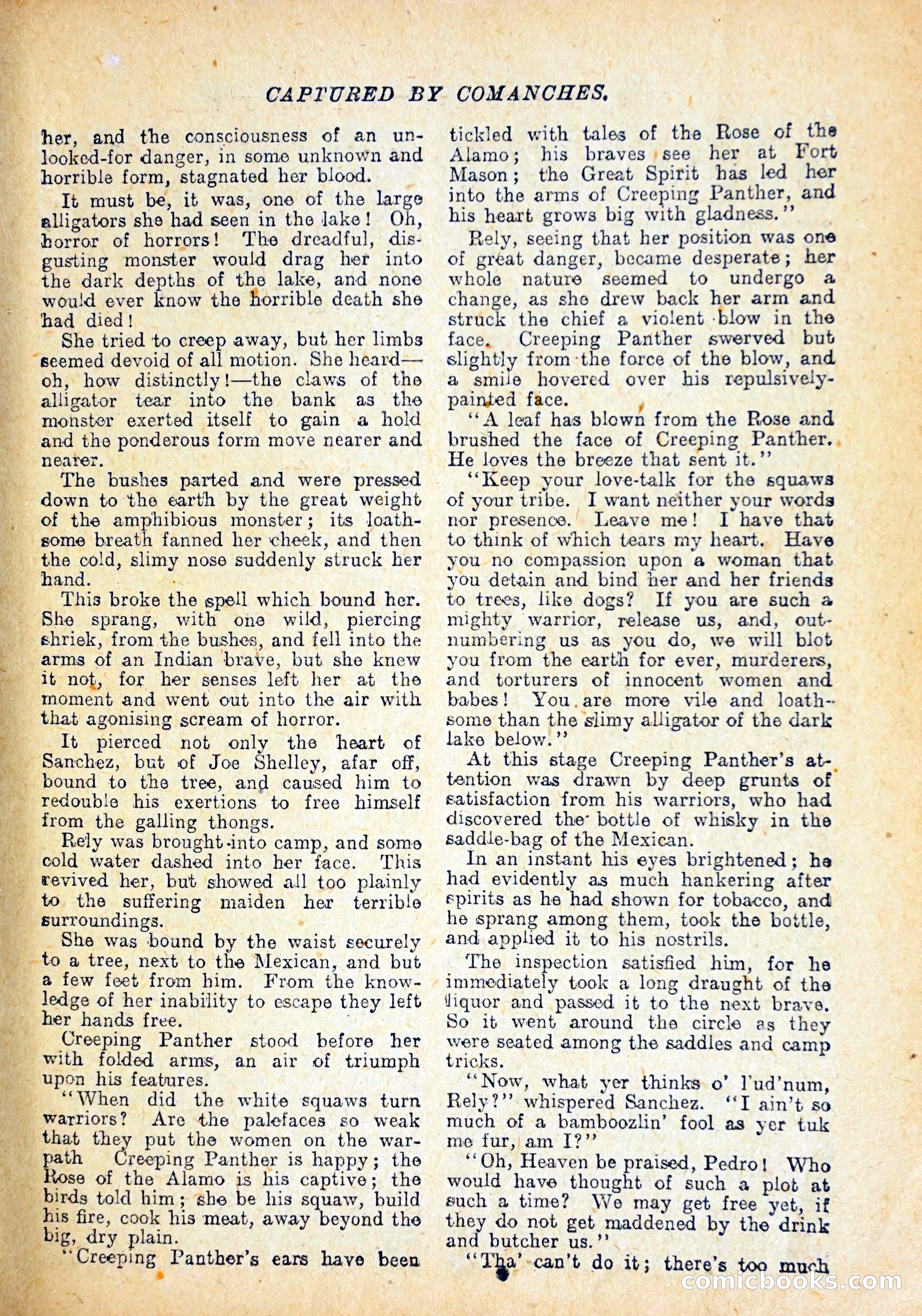Buffalo Bill Library No. 147: The Adventures of Mexican Joe — page 22 of 37