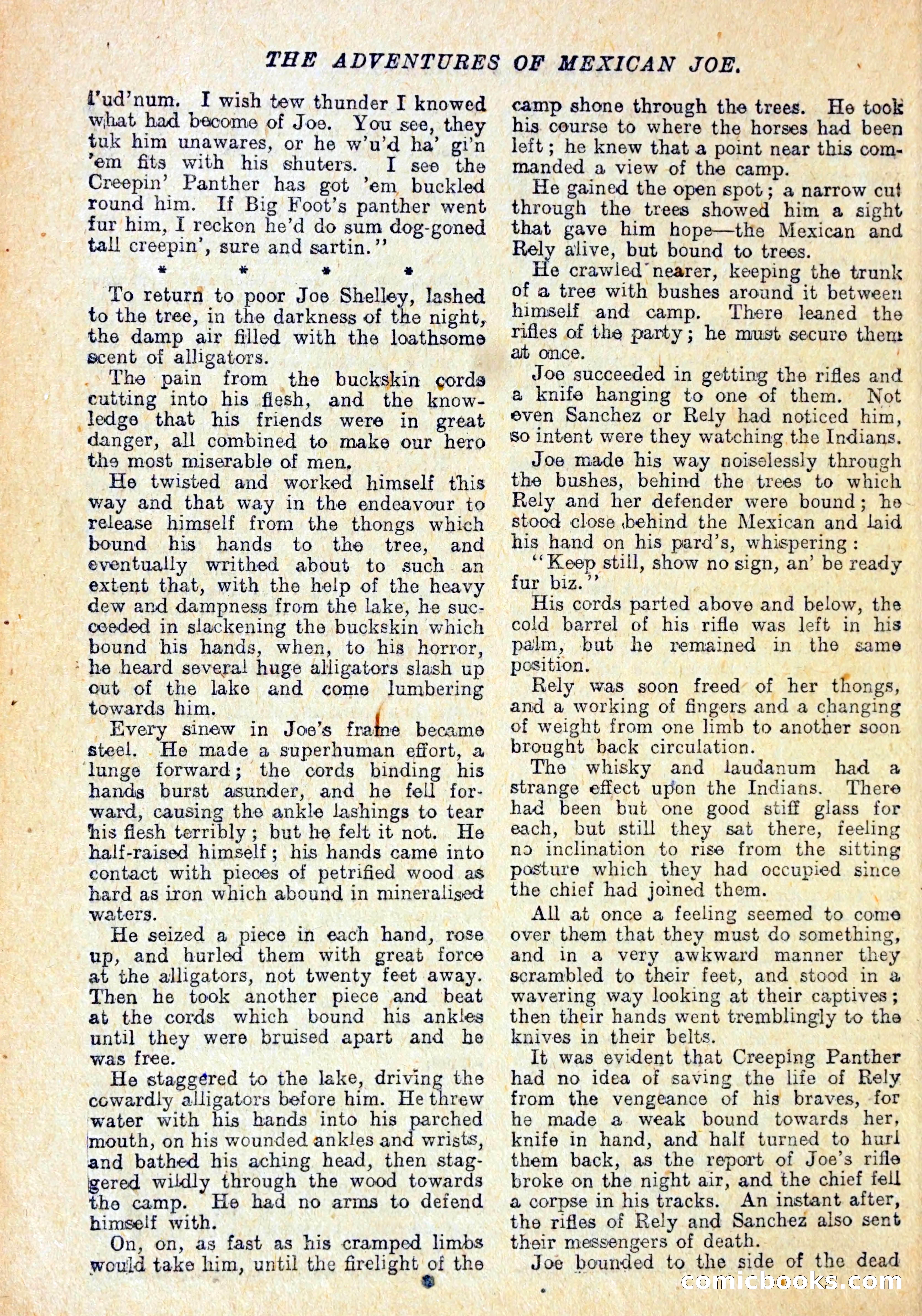Buffalo Bill Library No. 147: The Adventures of Mexican Joe — page 23 of 37