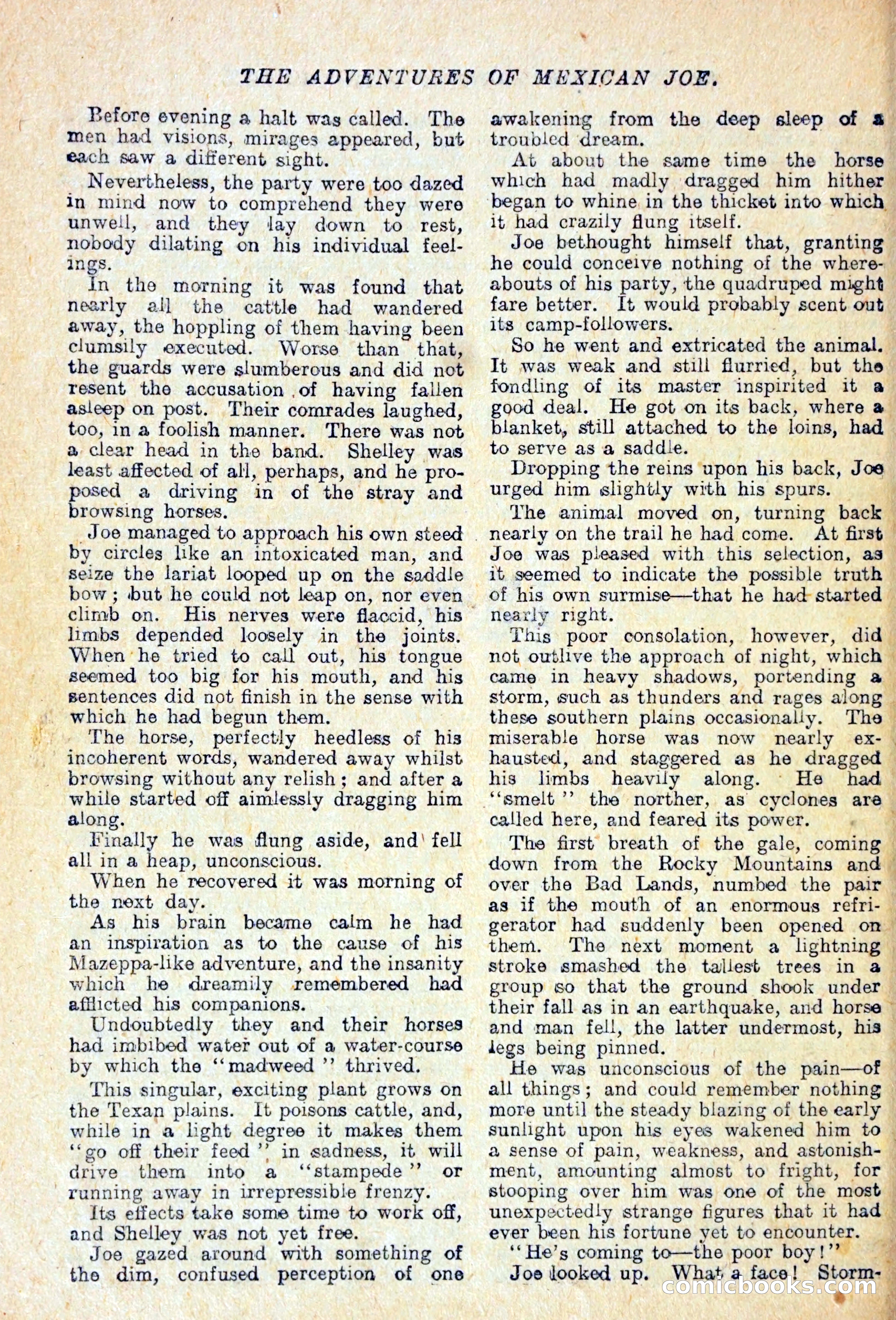 Buffalo Bill Library No. 147: The Adventures of Mexican Joe — page 31 of 37