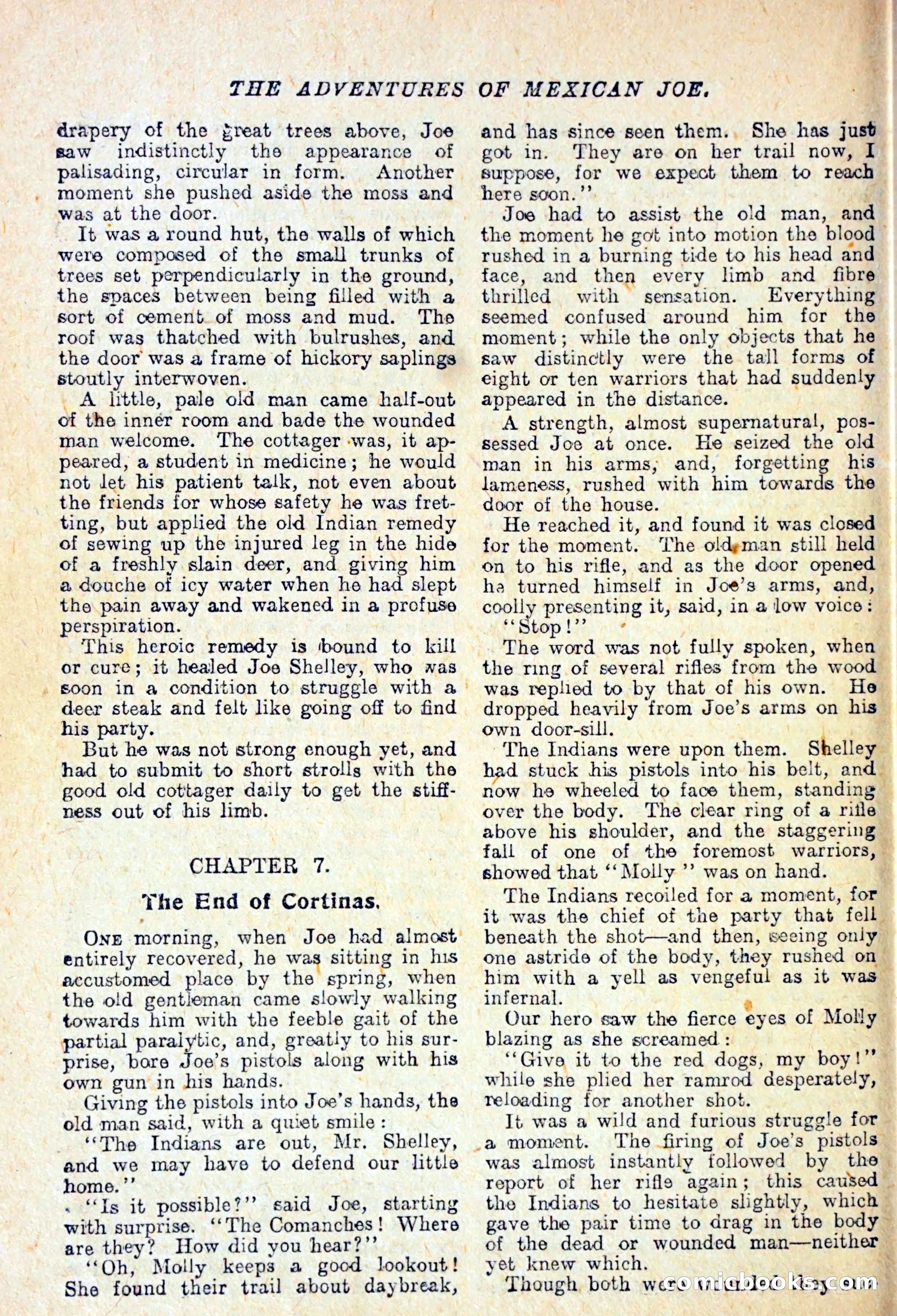 Buffalo Bill Library No. 147: The Adventures of Mexican Joe — page 33 of 37