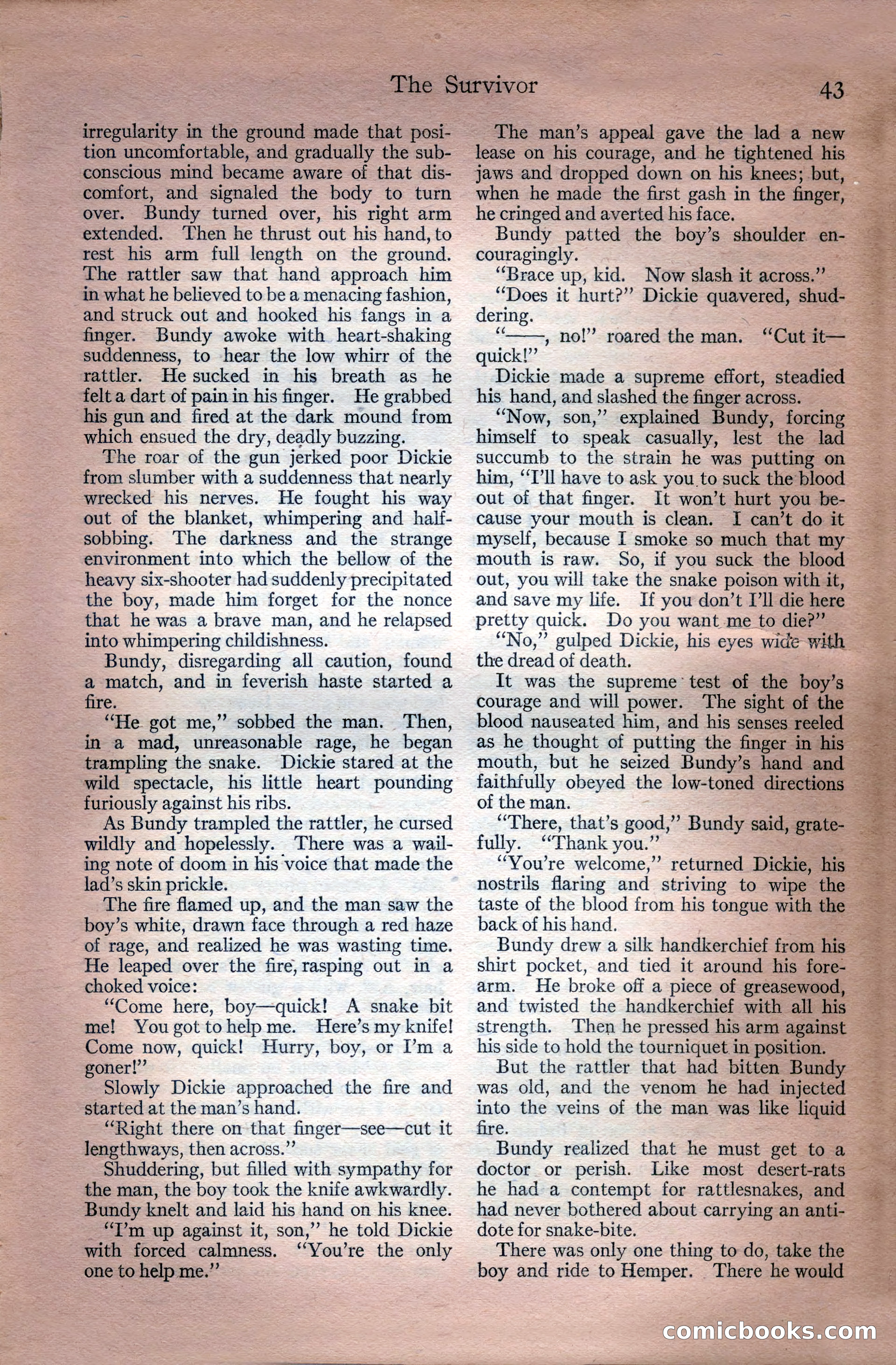 Adventure, July 18, 1918 — page 45 of 196