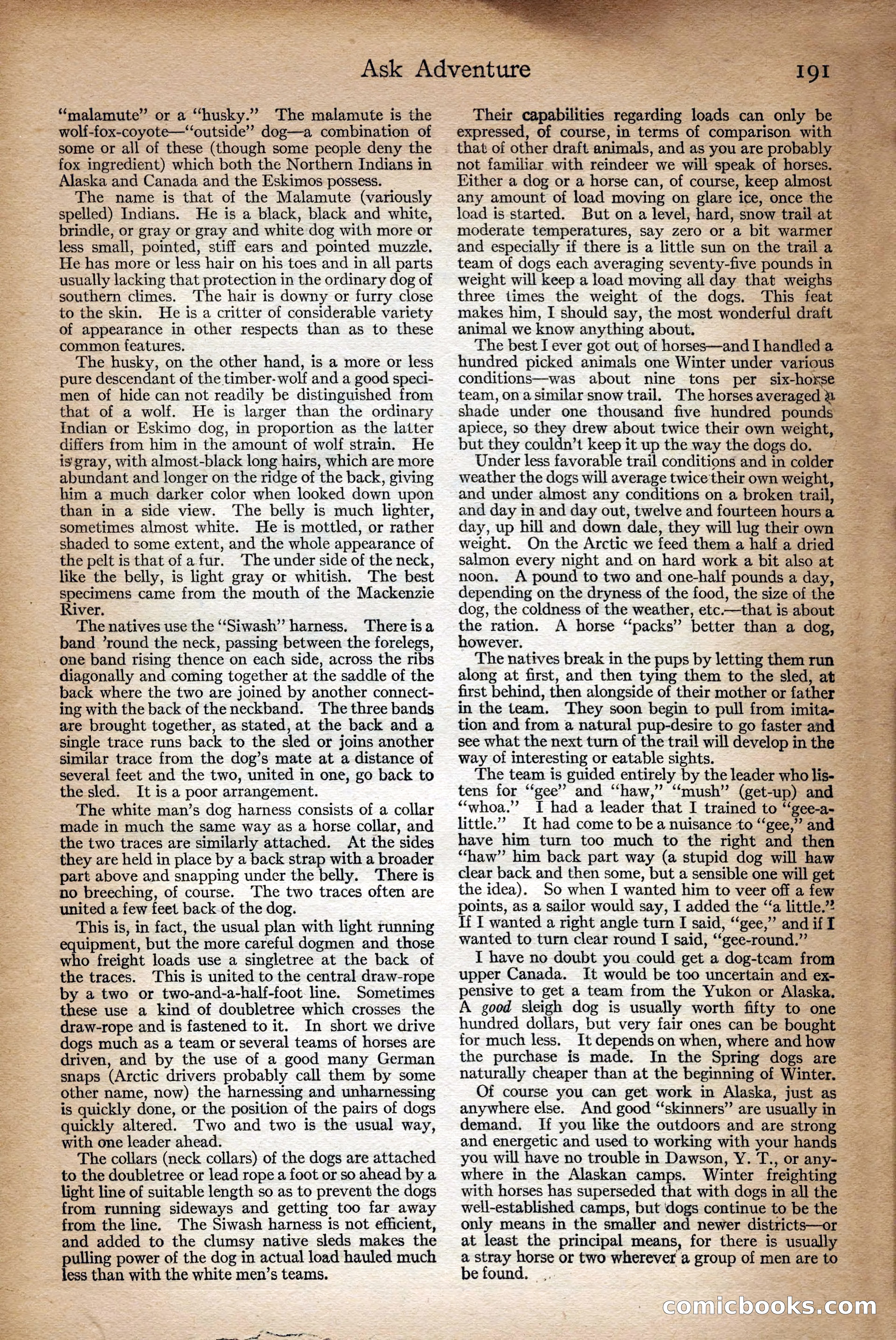 Adventure Magazine Cover — page 193 of 196