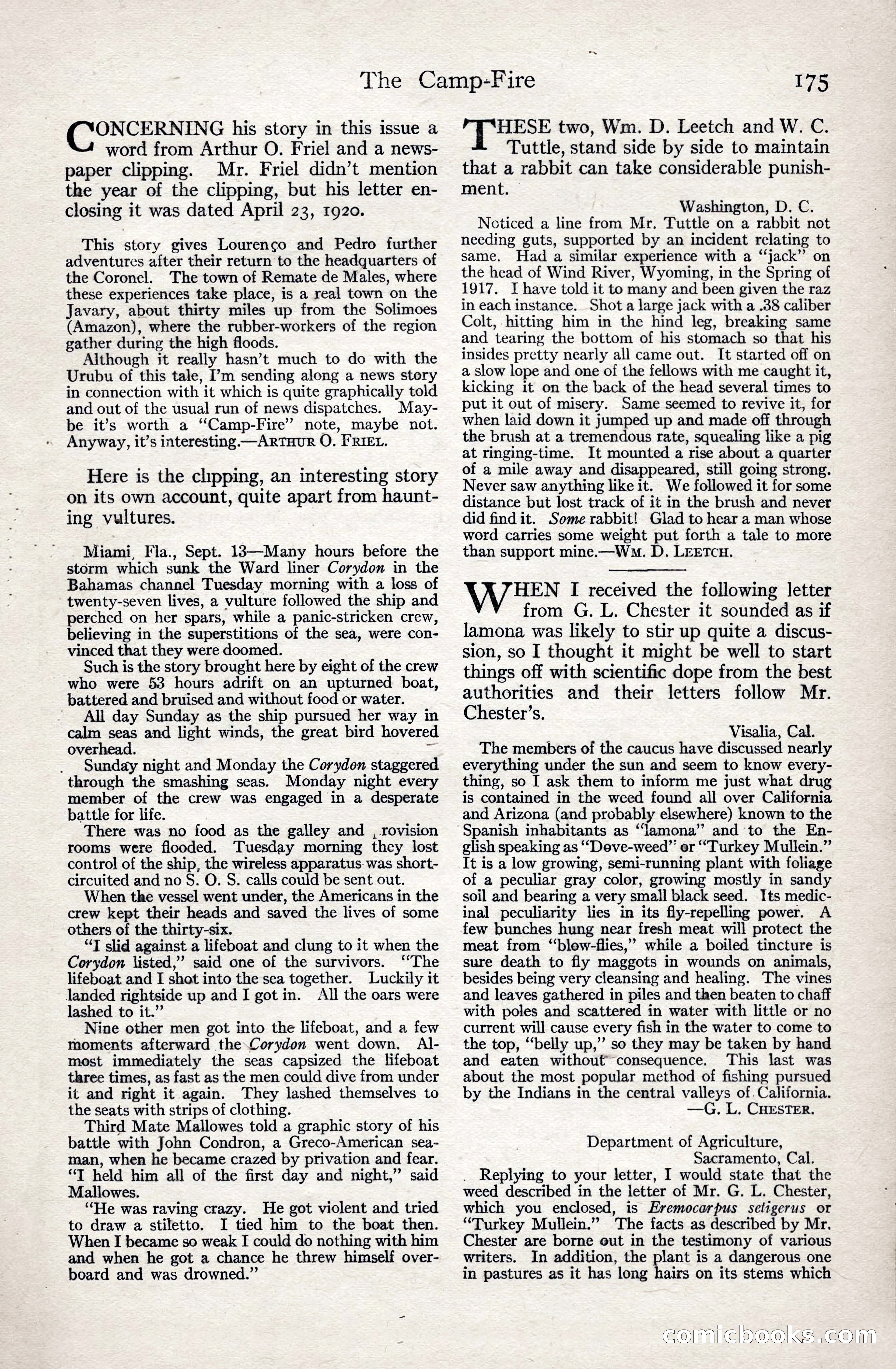 Adventure Magazine, January 3, 1921 — page 185 of 204
