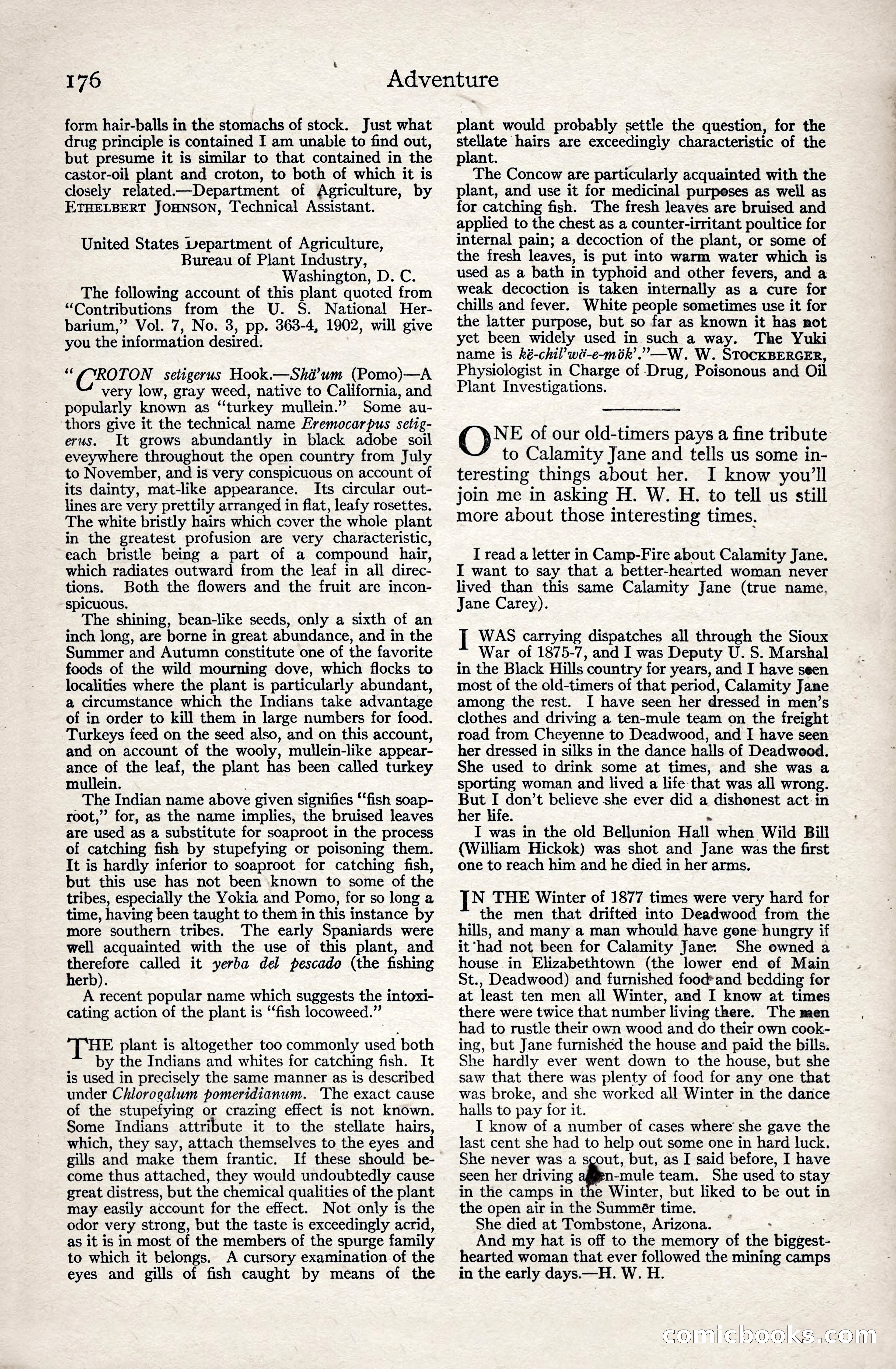 Adventure Magazine, January 3, 1921 — page 186 of 204