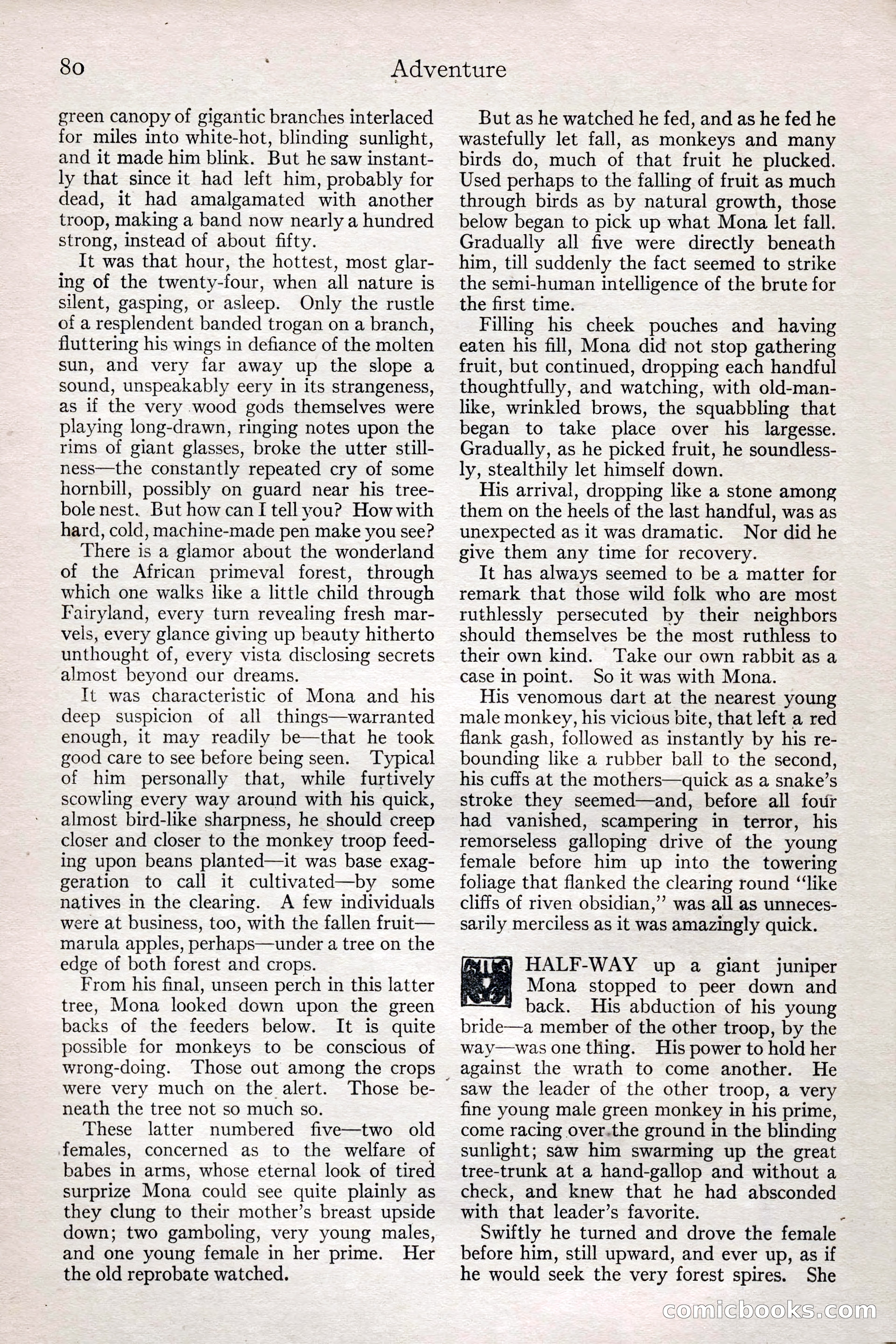 Adventure Magazine, February 28, 1922 — page 90 of 204