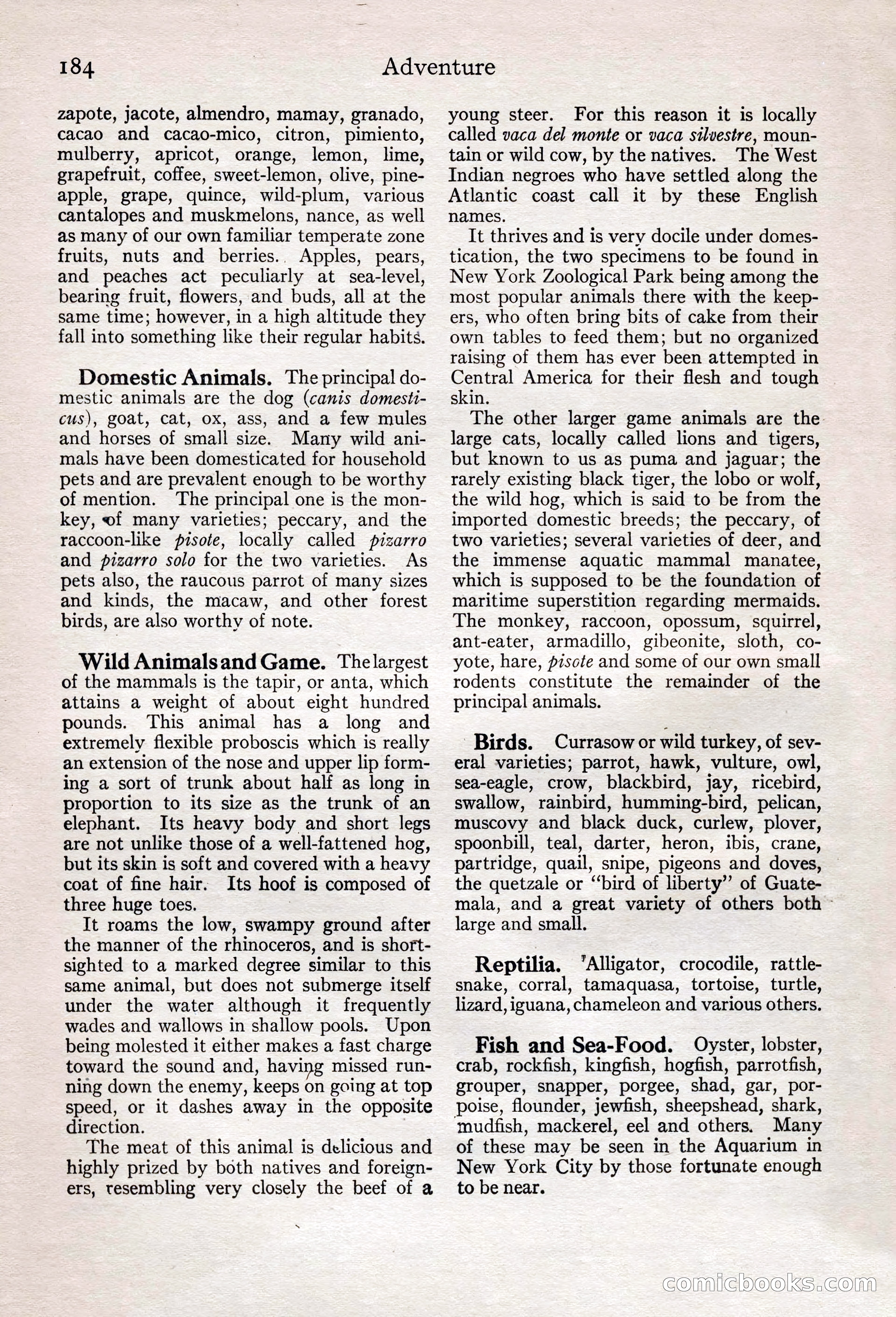 Adventure Magazine, February 28, 1922 — page 194 of 204
