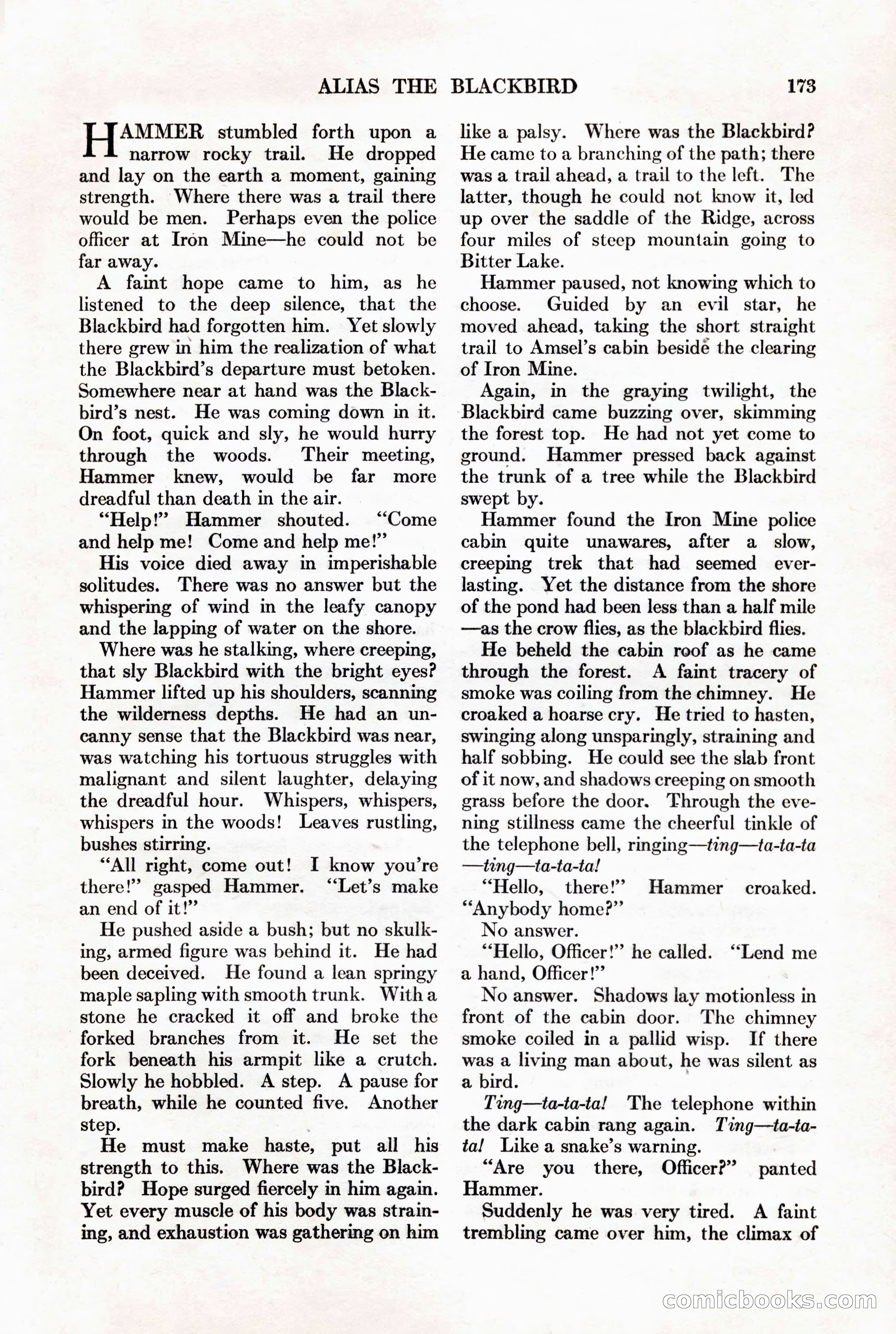 Adventure, November 15, 1927 — page 175 of 196