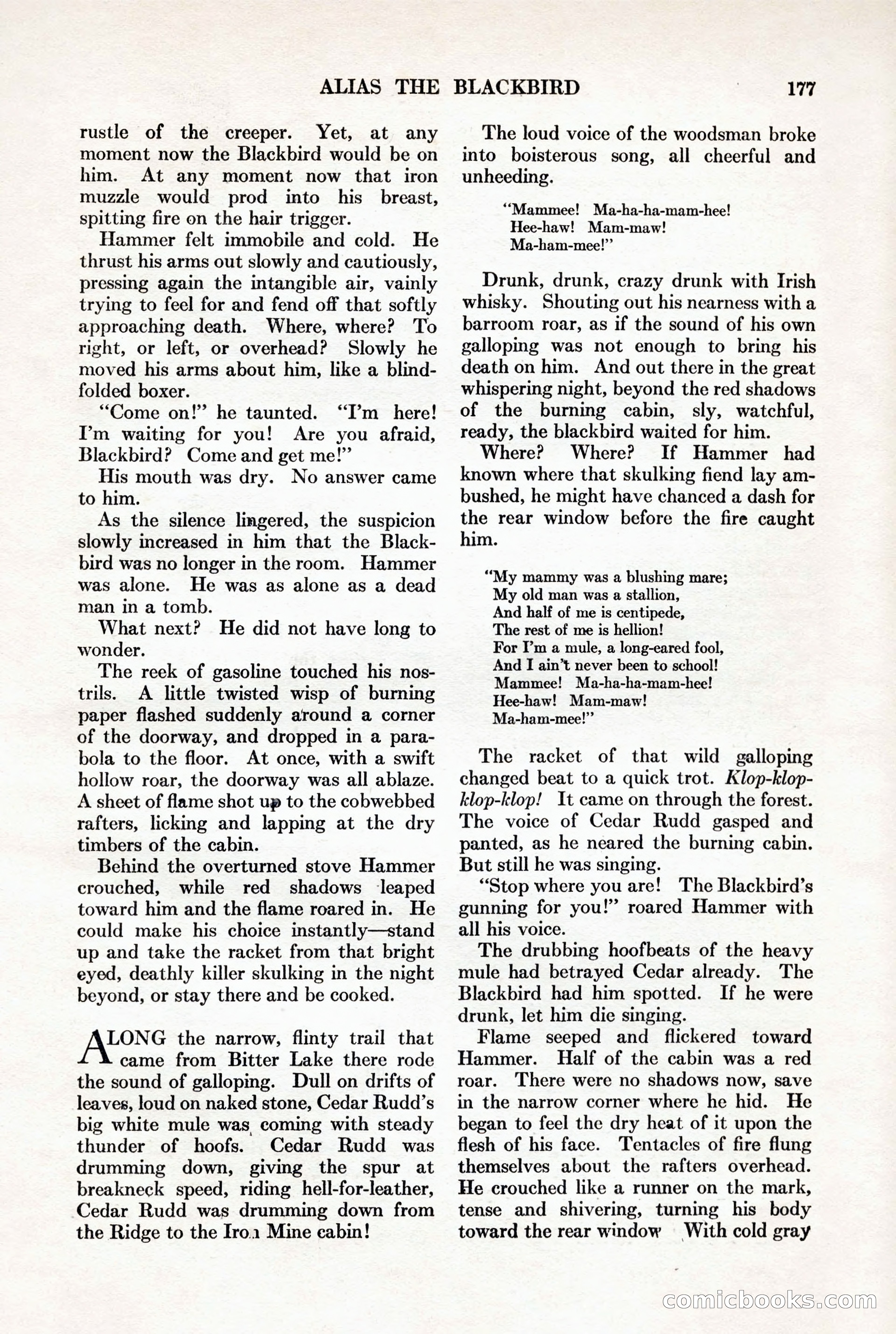 Adventure, November 15, 1927 — page 179 of 196