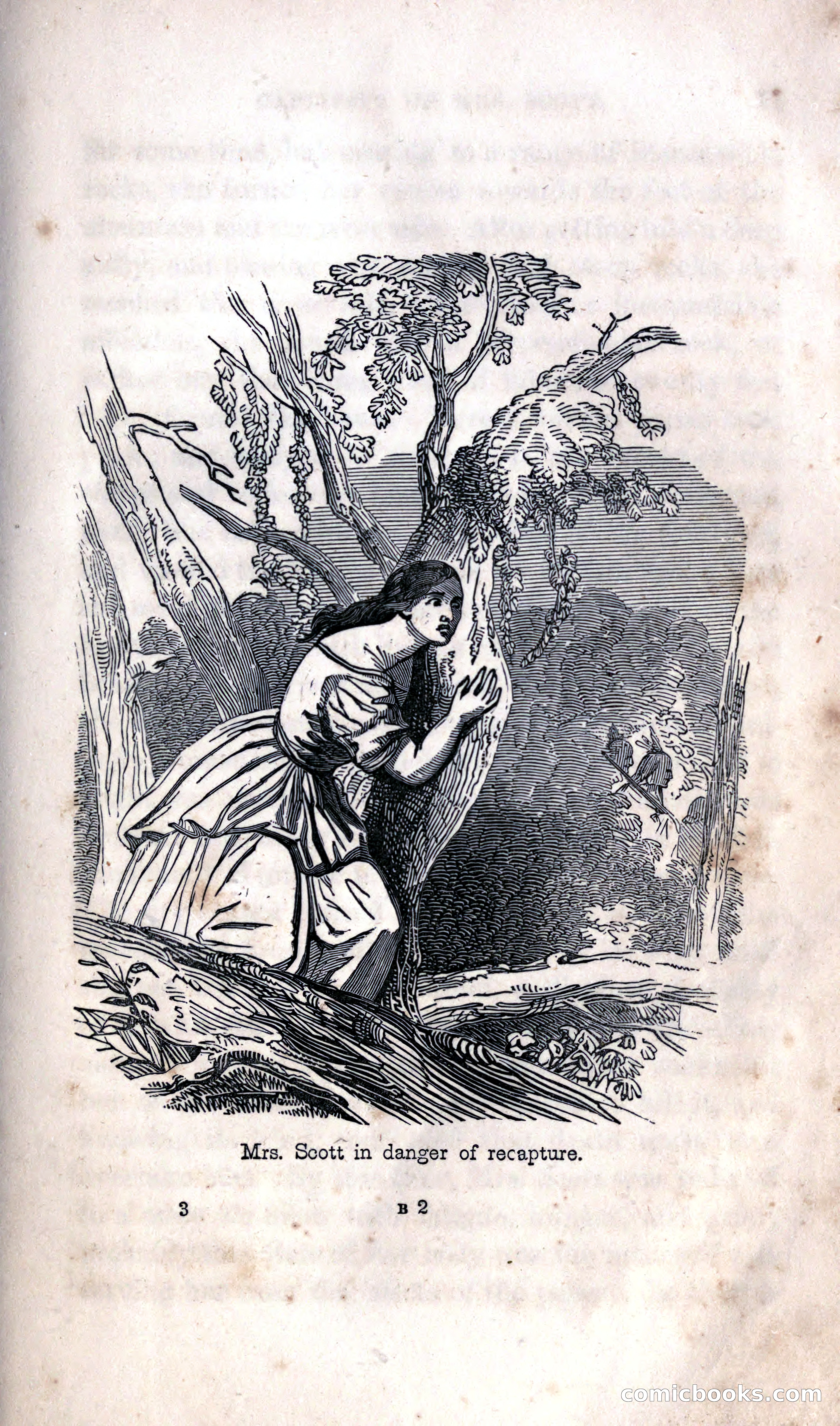 Thrilling Adventures Among the Indians — page 27 of 392