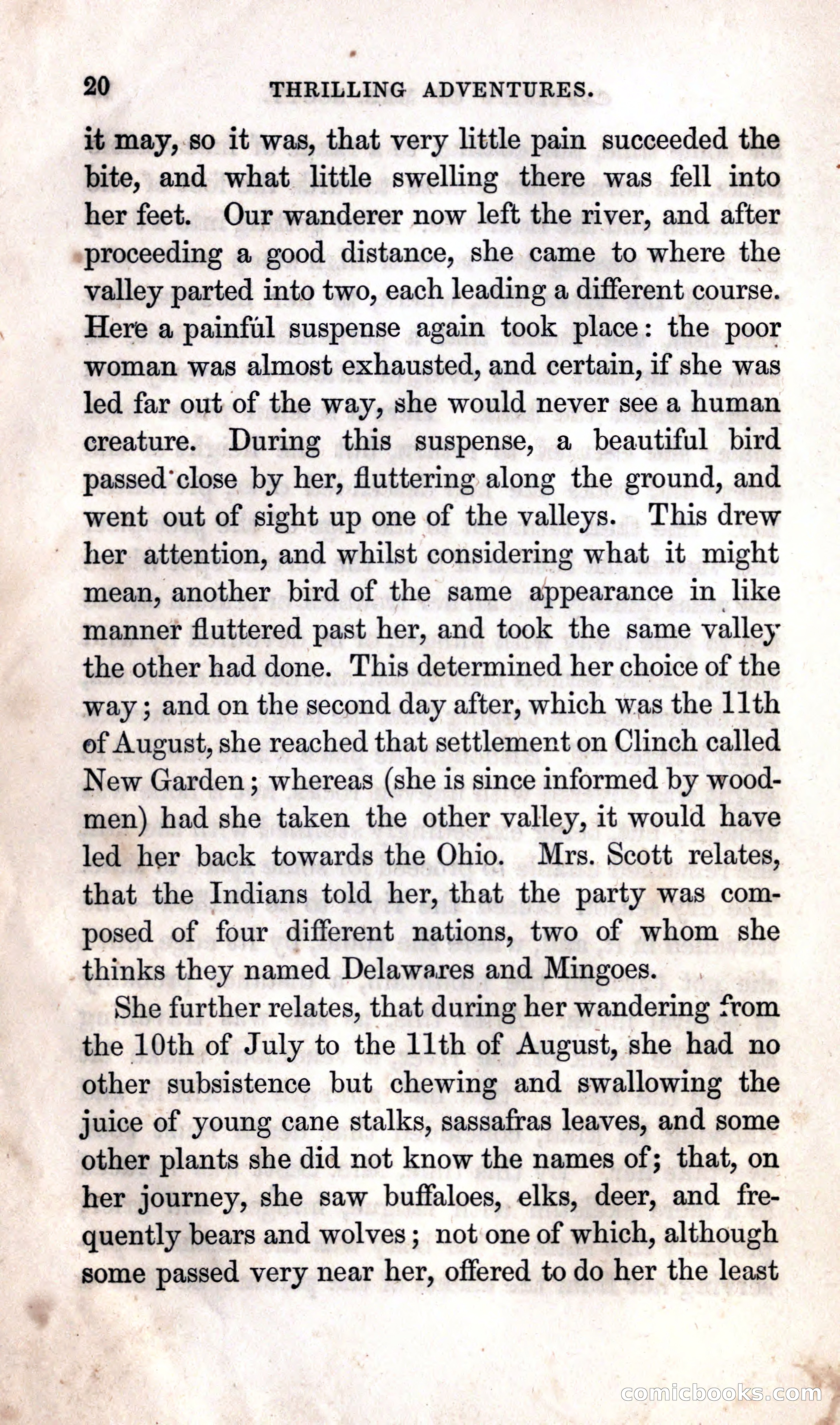 Thrilling Adventures Among the Indians — page 30 of 392