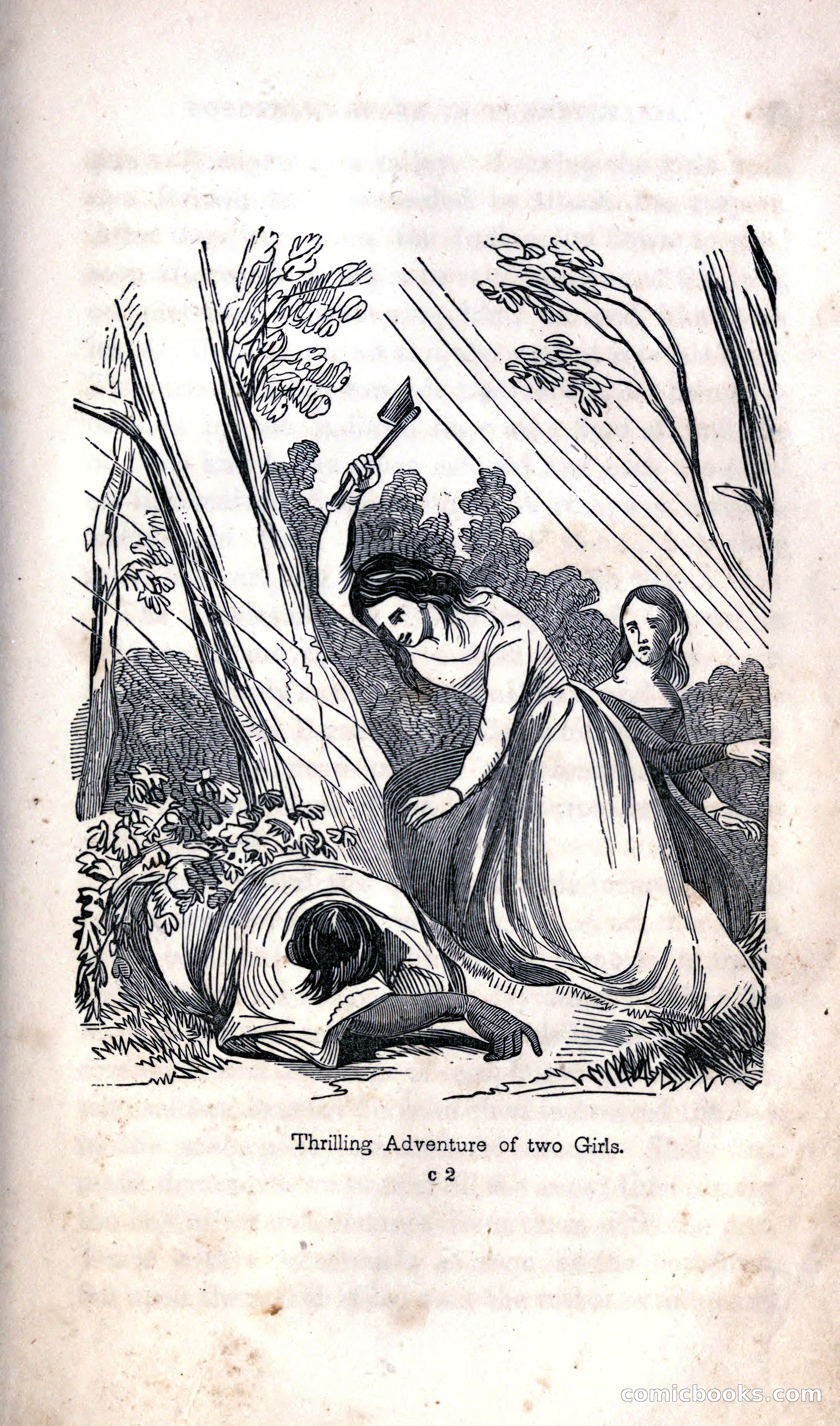 Thrilling Adventures Among the Indians — page 39 of 392