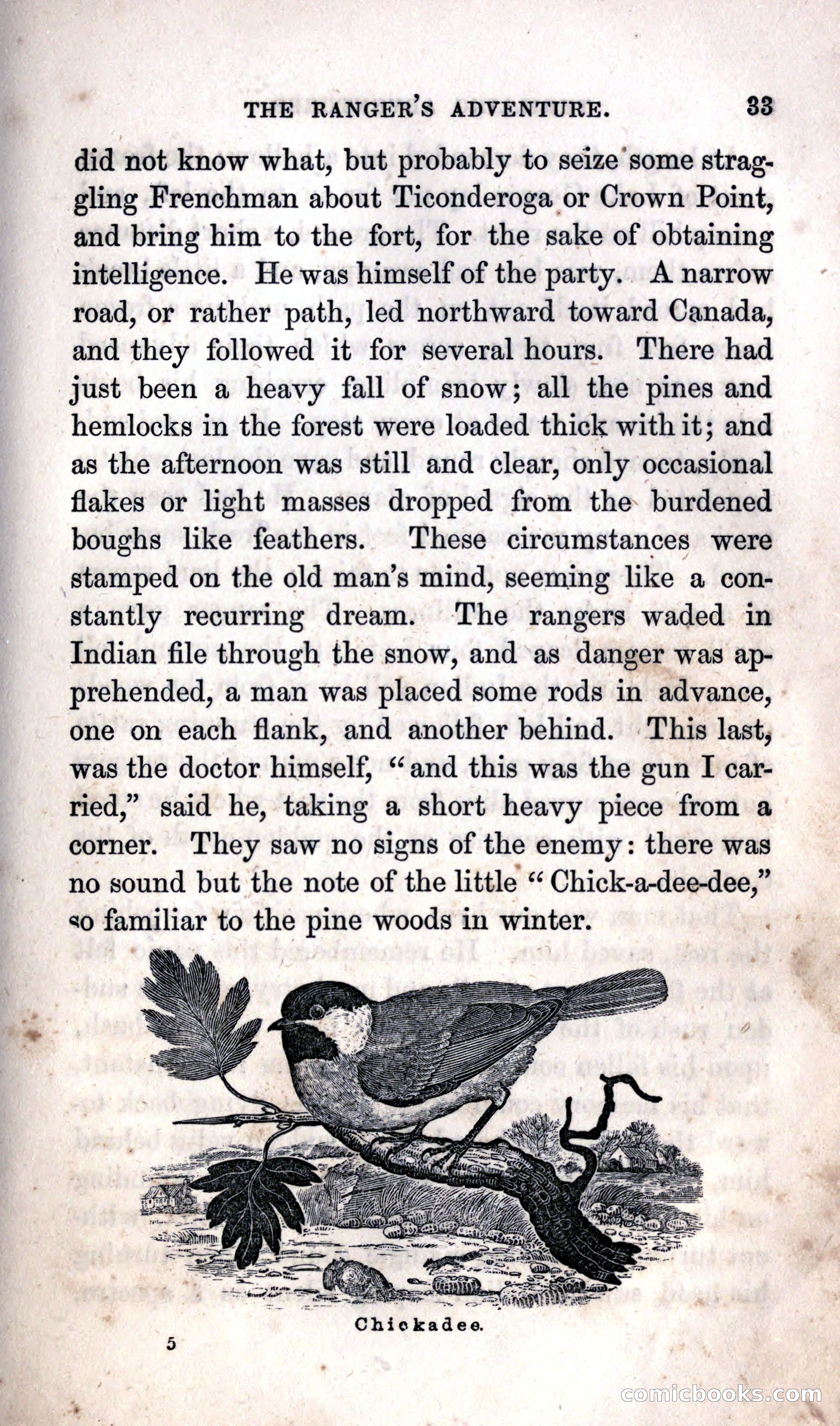 Thrilling Adventures Among the Indians — page 43 of 392