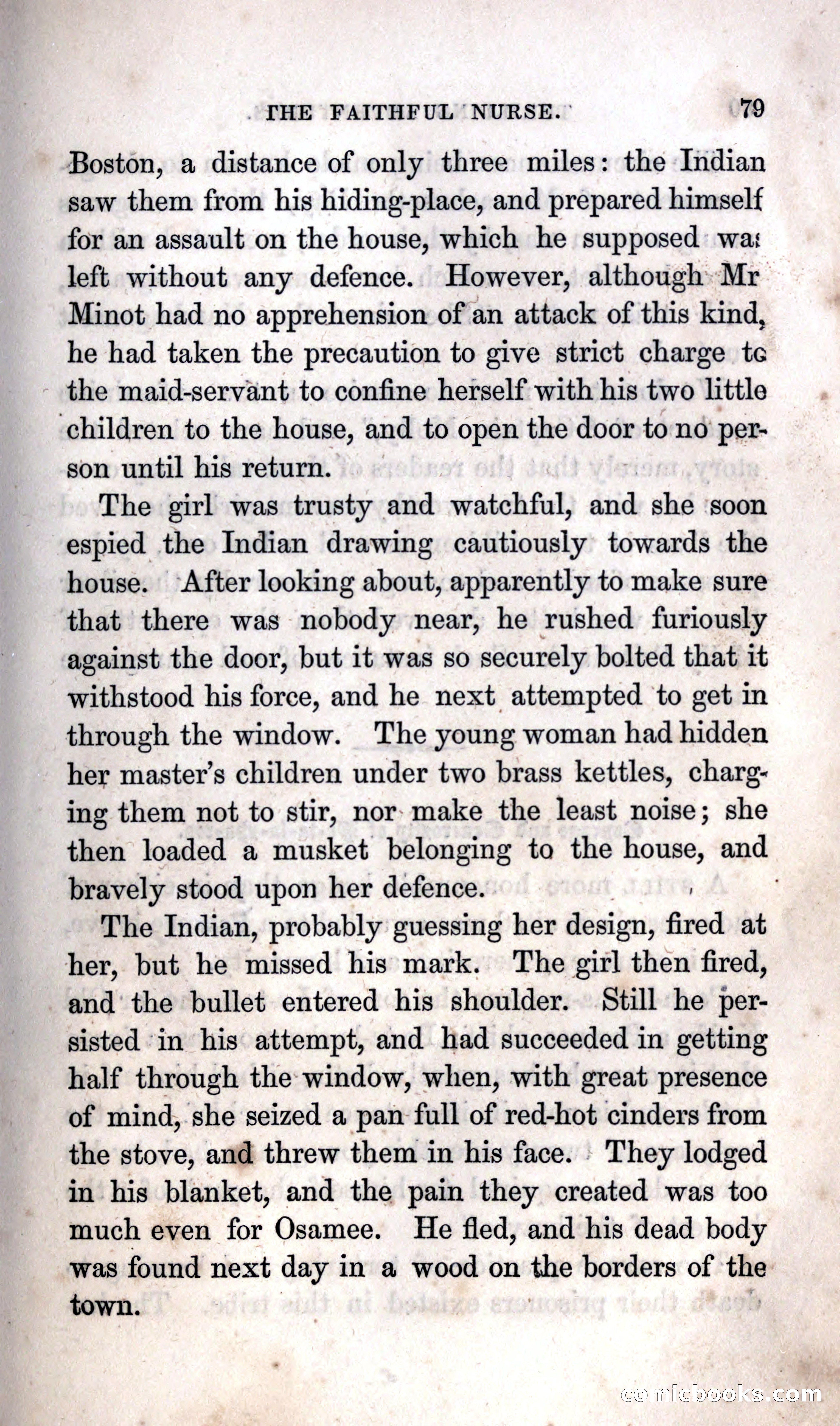 Thrilling Adventures Among the Indians — page 89 of 392