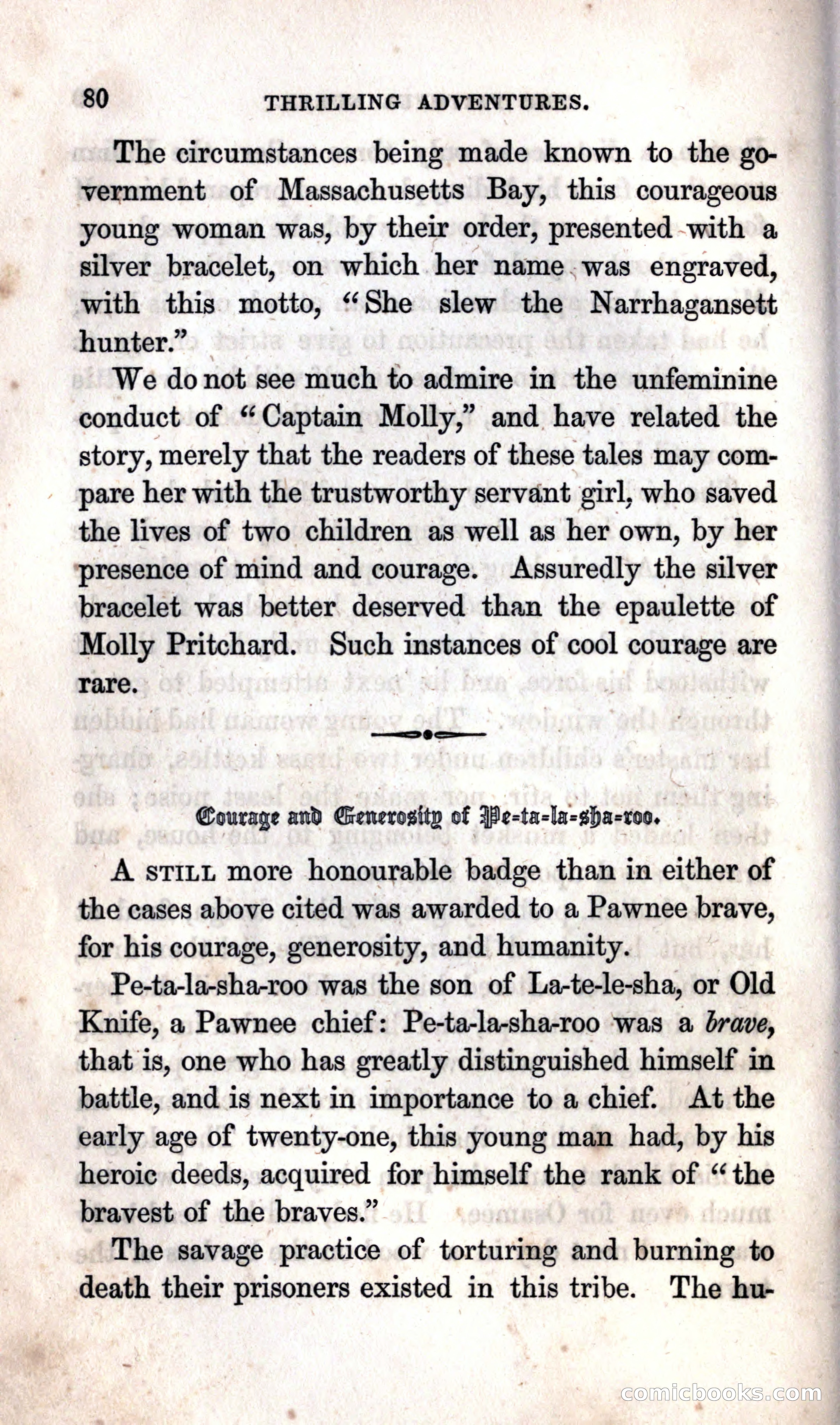 Thrilling Adventures Among the Indians — page 90 of 392