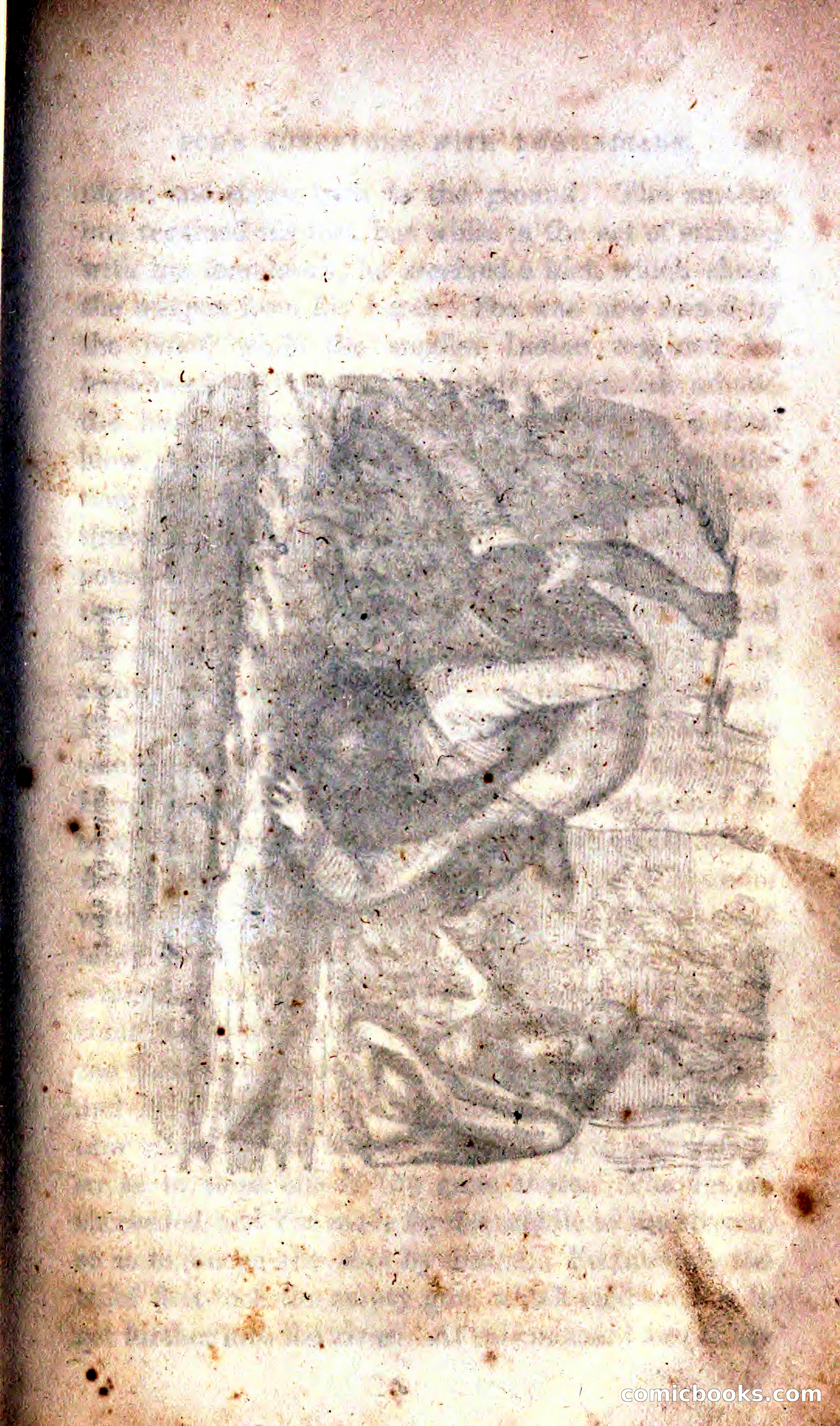Thrilling Adventures Among the Indians — page 111 of 392