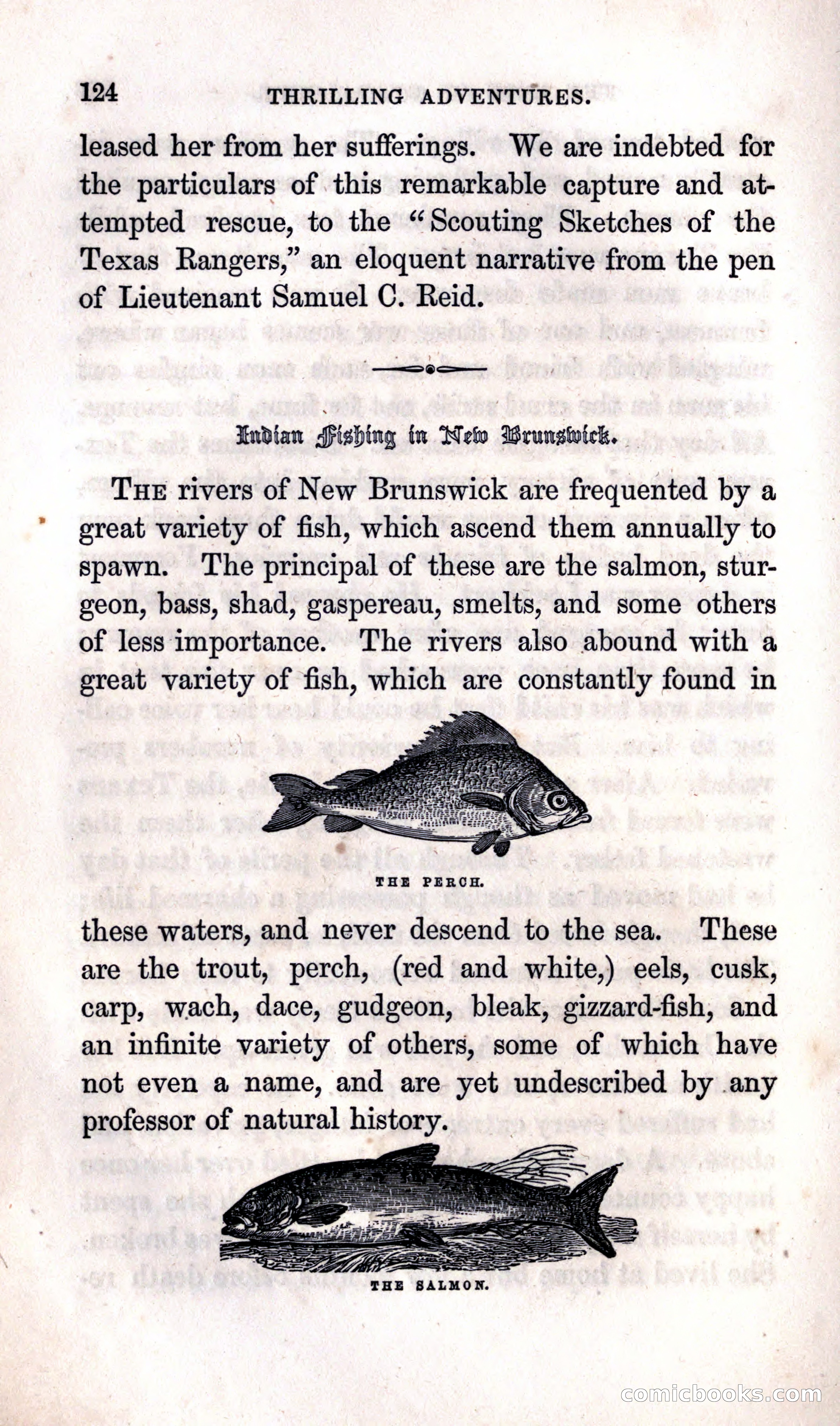 Thrilling Adventures Among the Indians — page 130 of 392