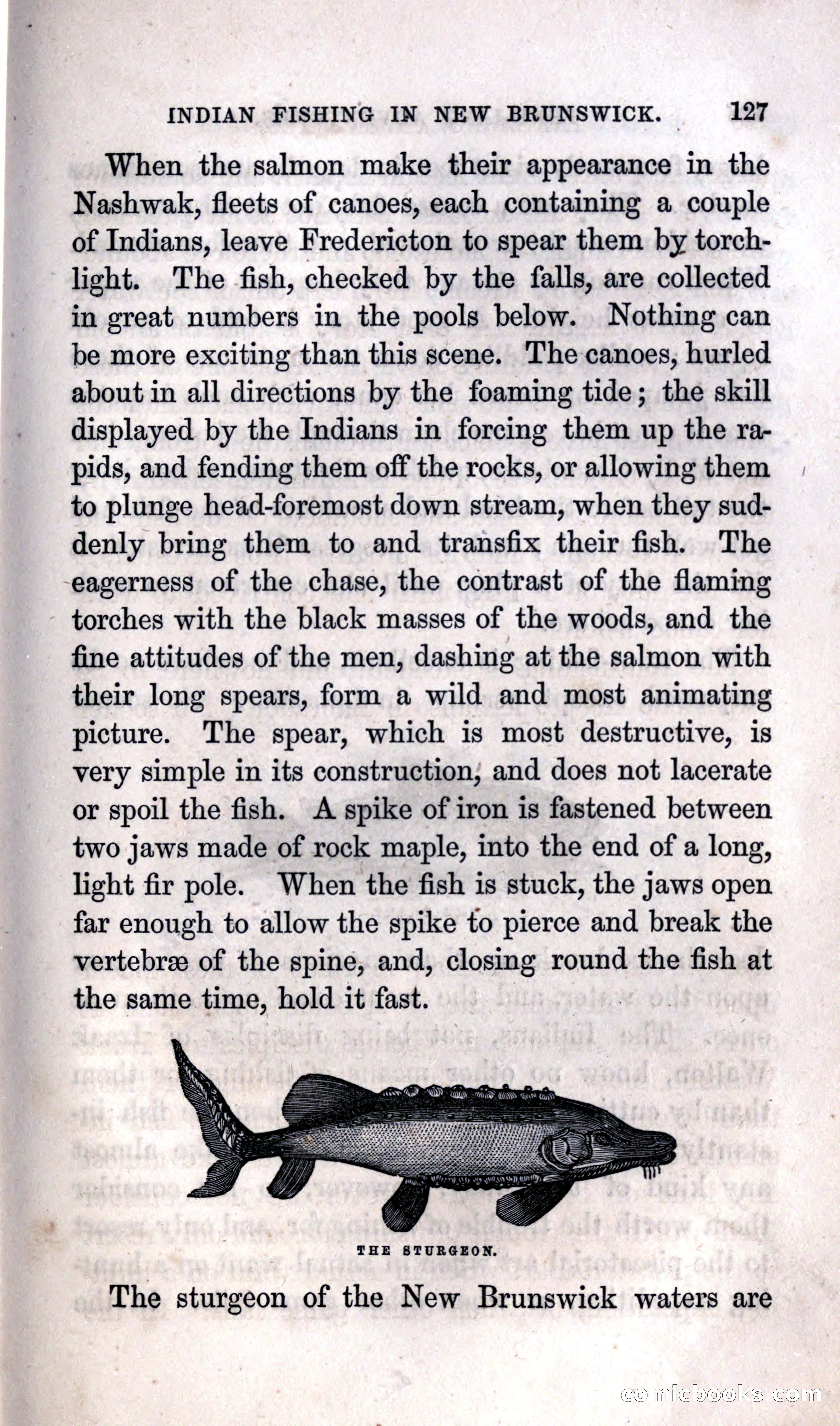 Thrilling Adventures Among the Indians — page 133 of 392