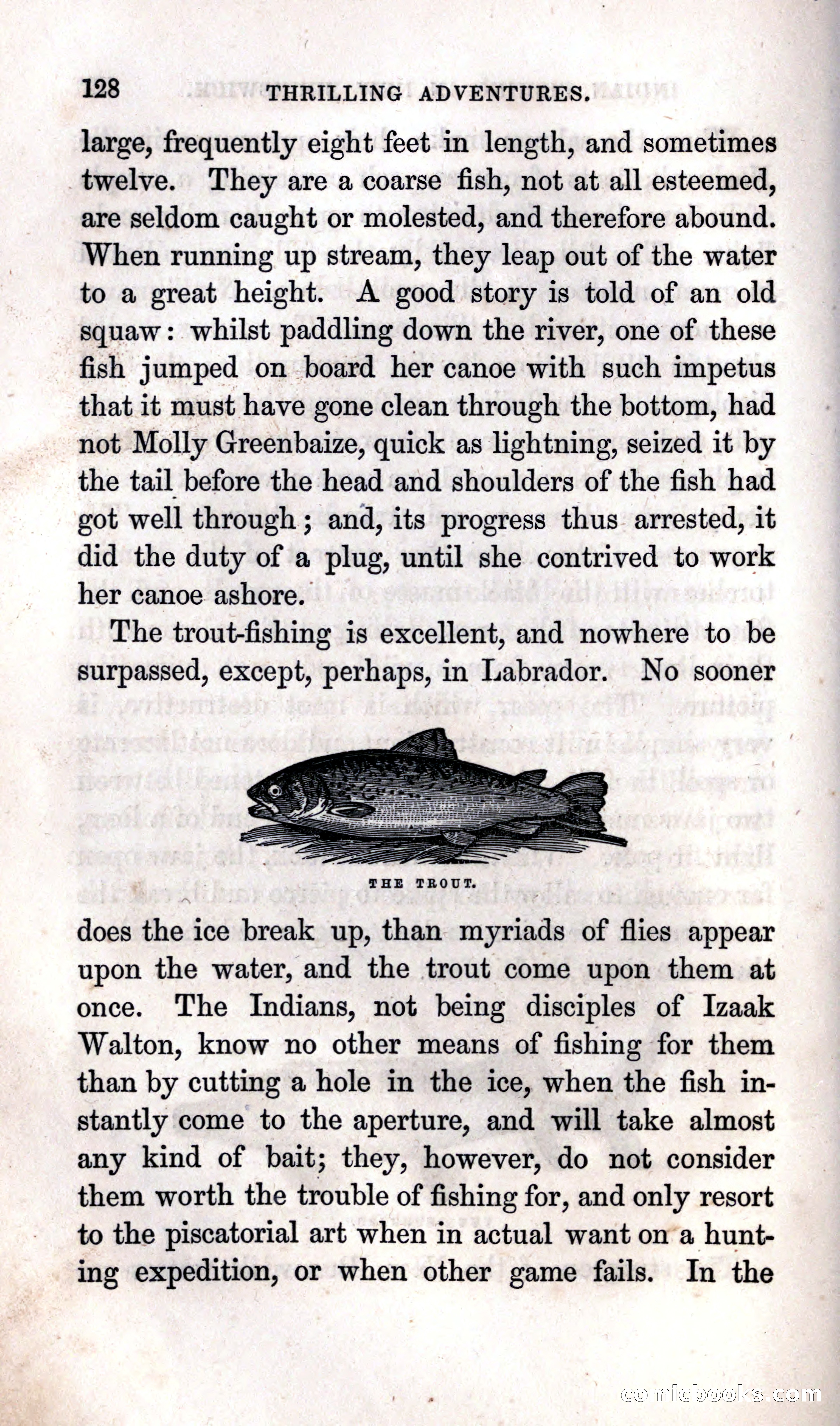 Thrilling Adventures Among the Indians — page 134 of 392