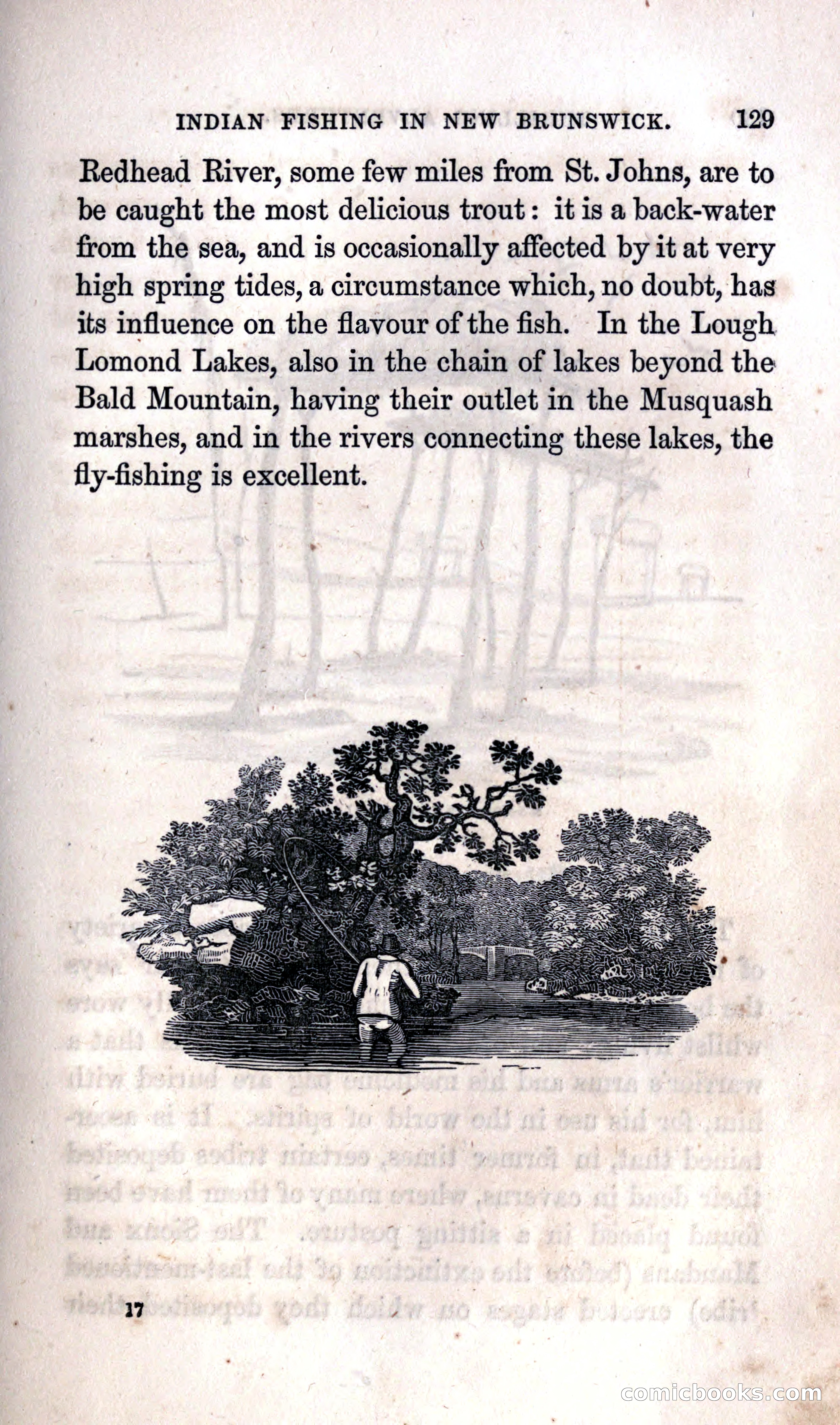 Thrilling Adventures Among the Indians — page 135 of 392