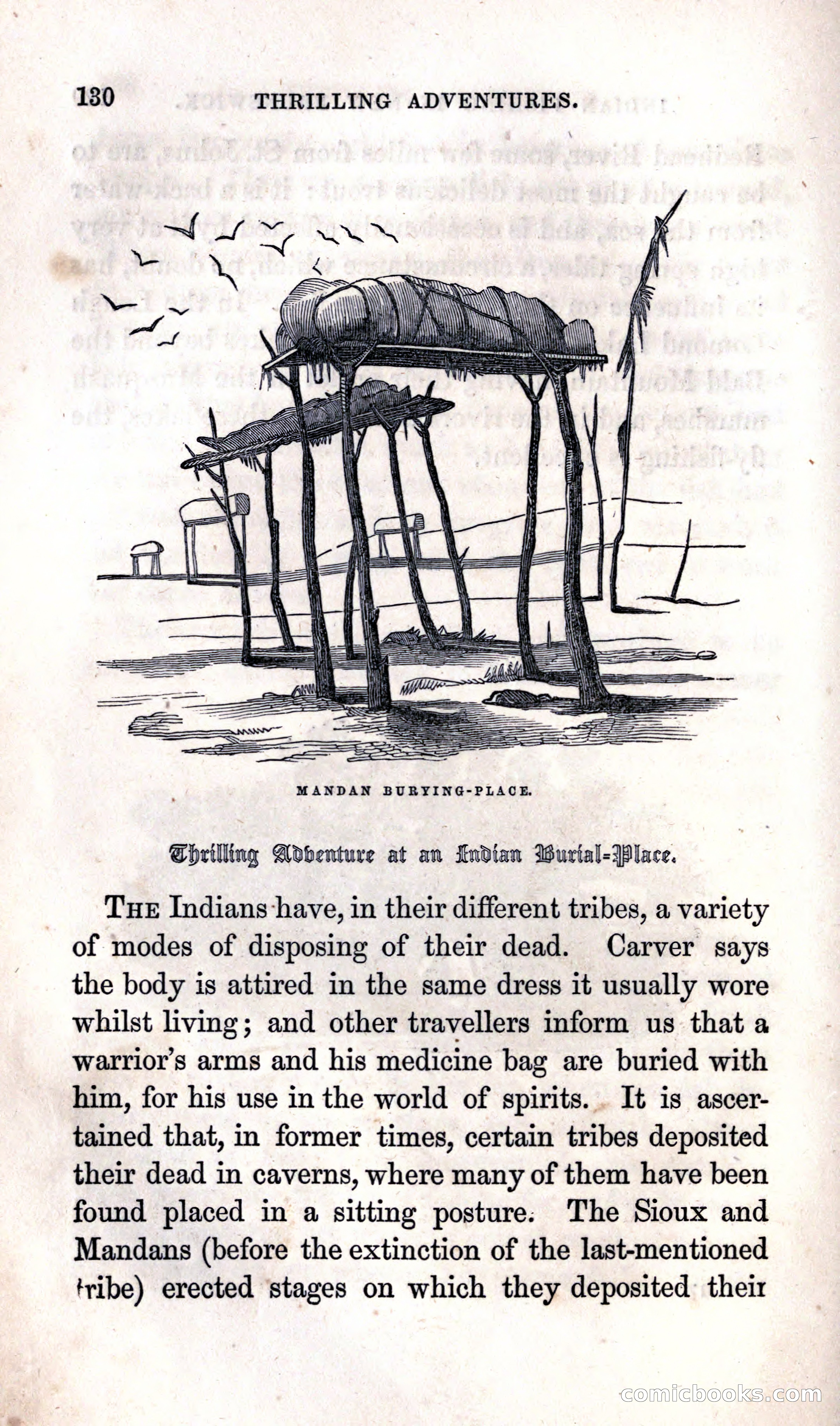 Thrilling Adventures Among the Indians — page 136 of 392
