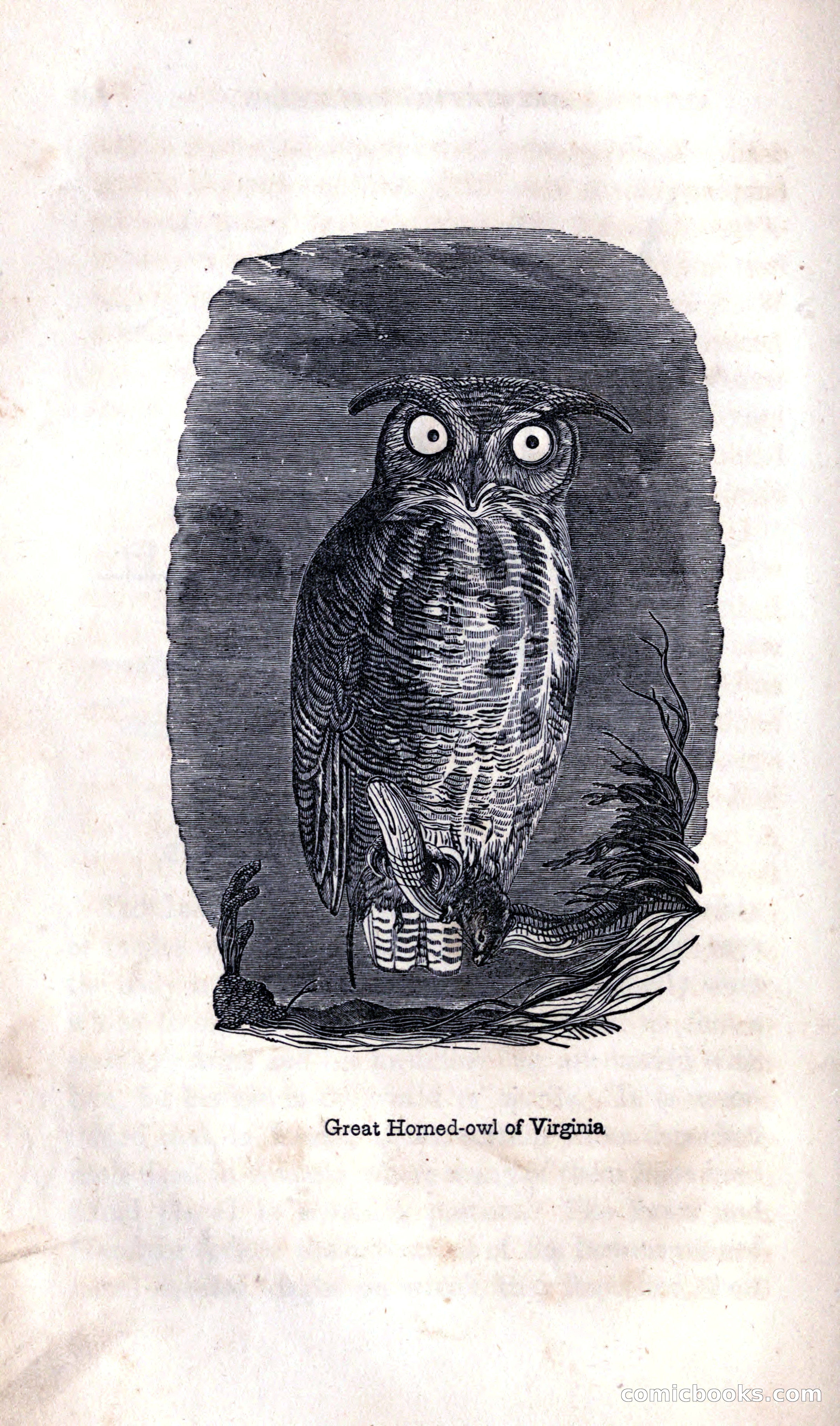 Thrilling Adventures Among the Indians — page 138 of 392