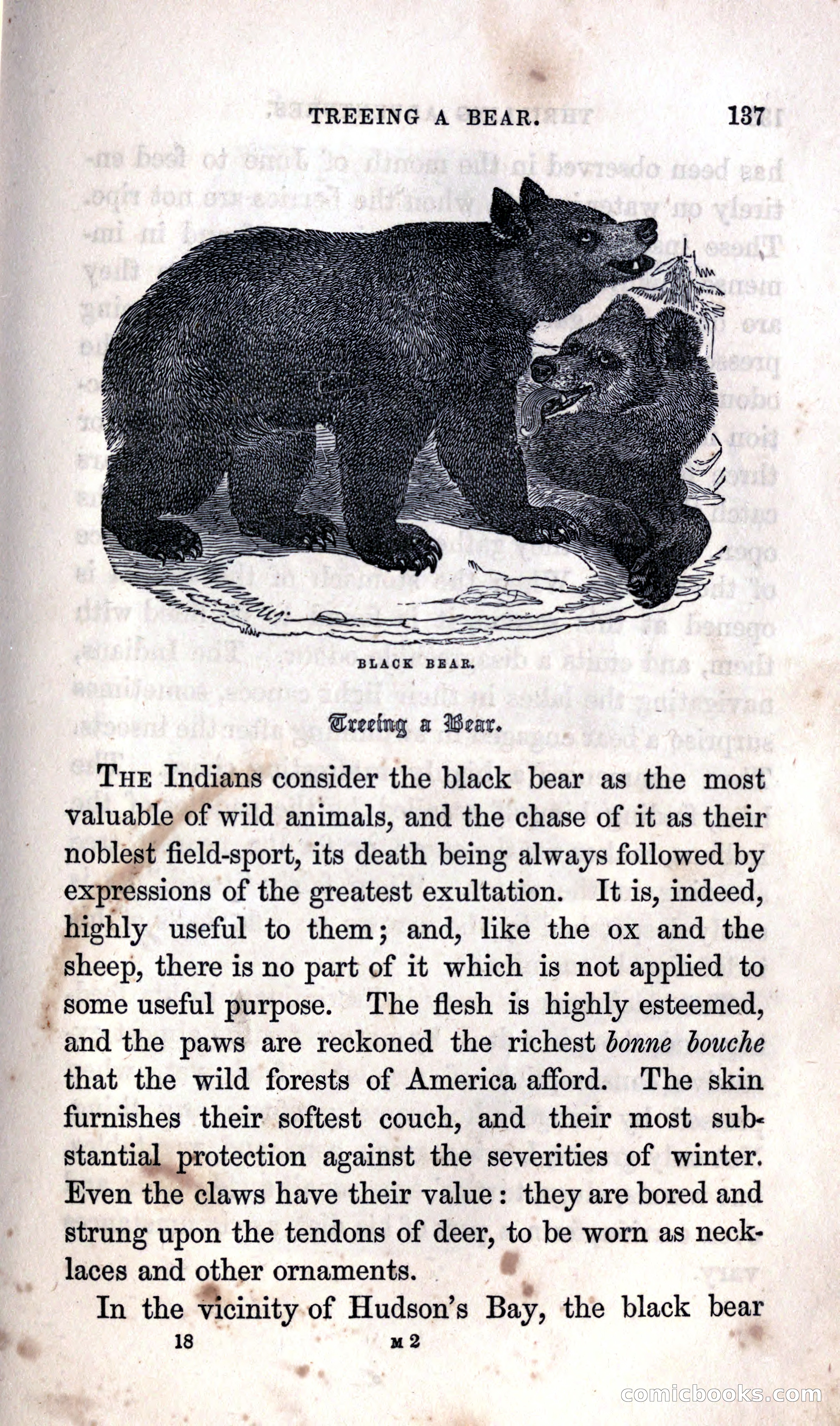 Thrilling Adventures Among the Indians — page 143 of 392