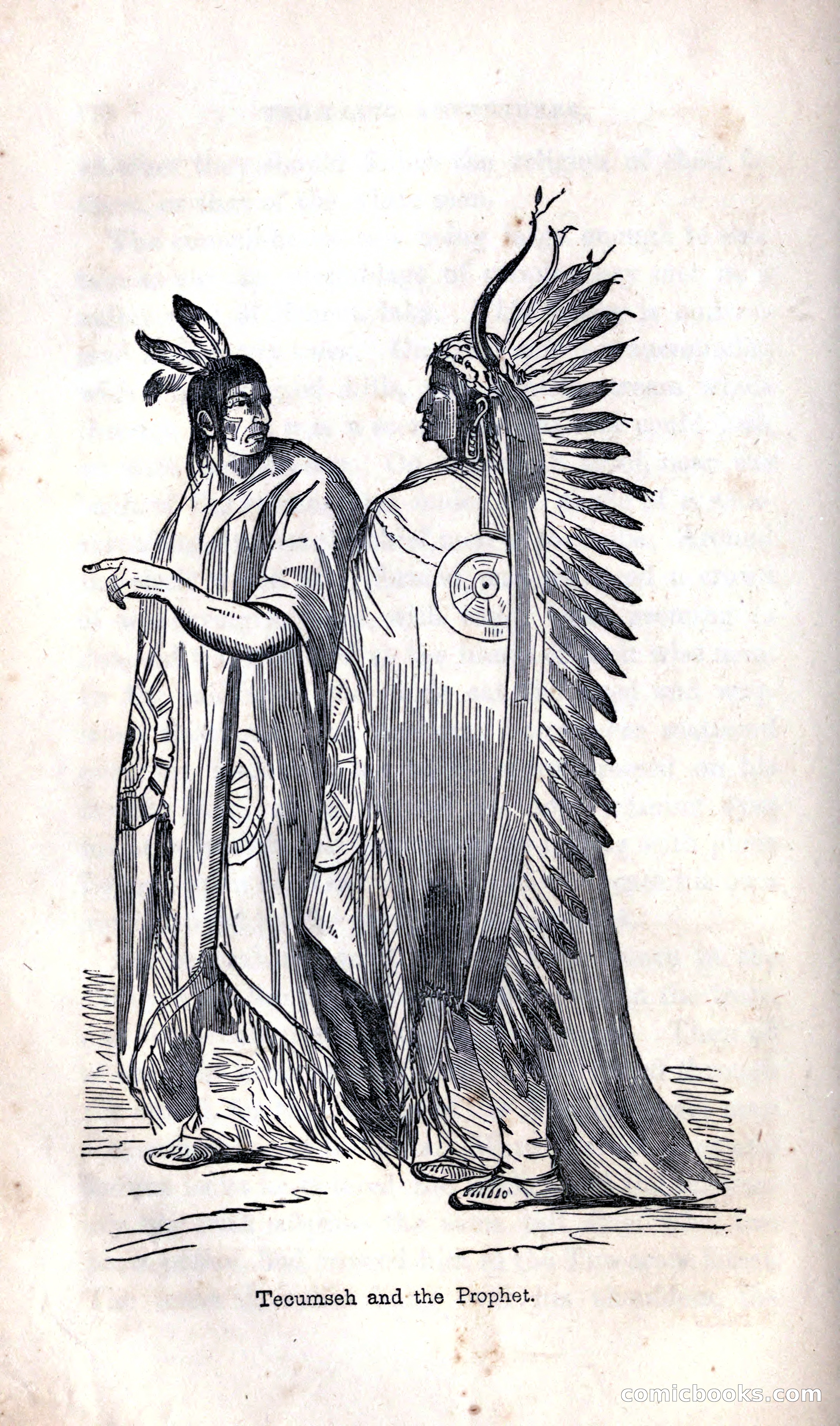 Thrilling Adventures Among the Indians — page 186 of 392