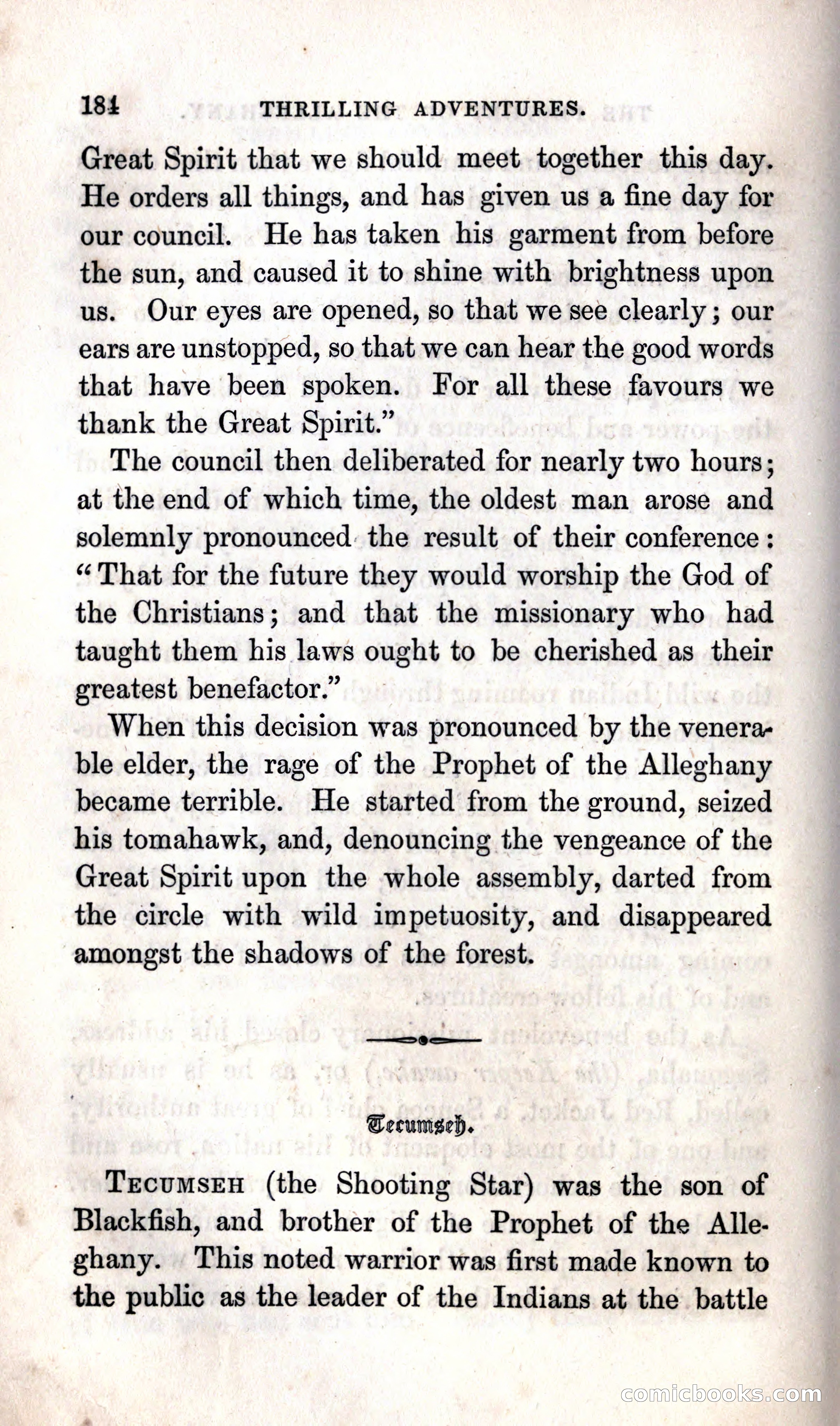 Thrilling Adventures Among the Indians — page 190 of 392