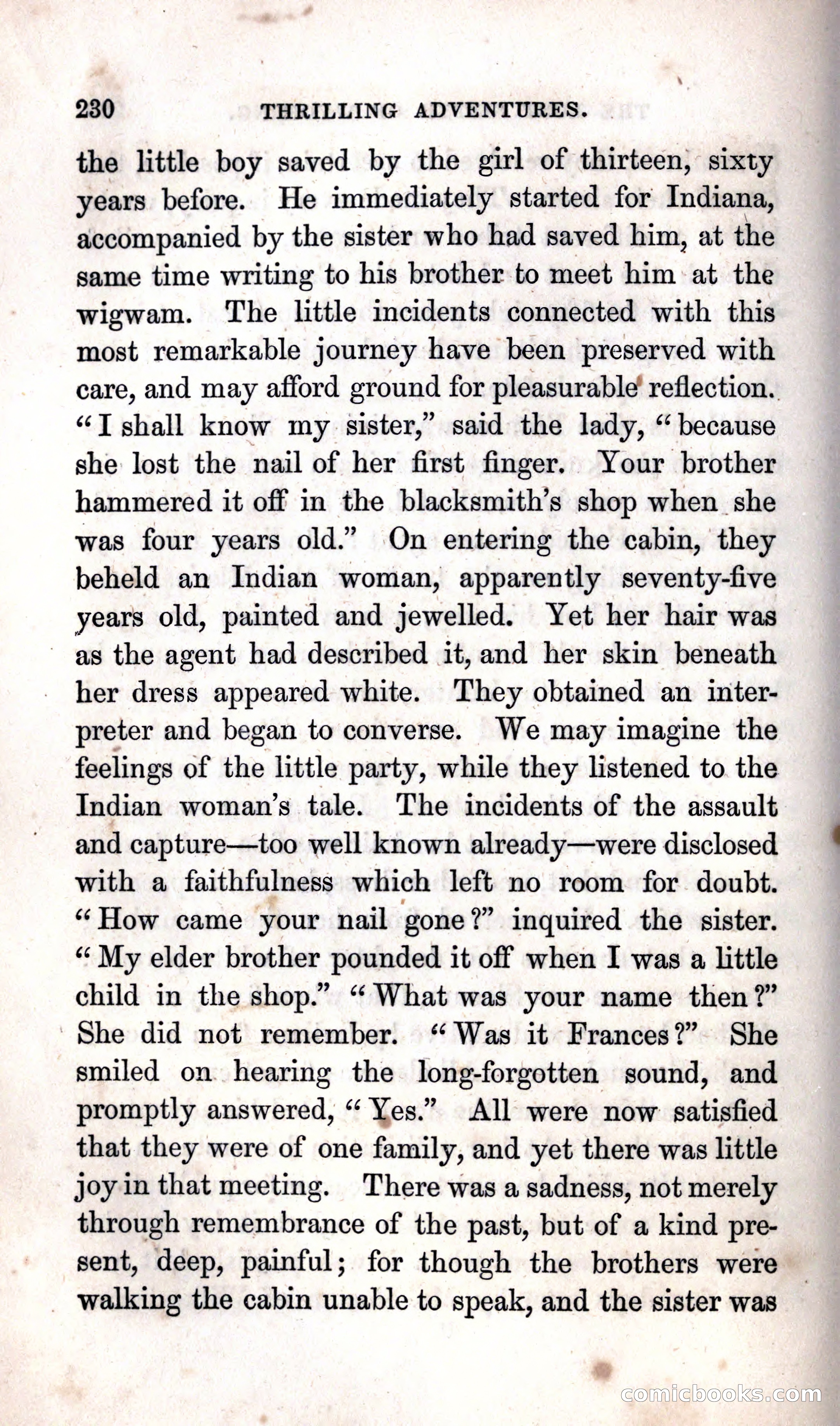 Thrilling Adventures Among the Indians — page 236 of 392