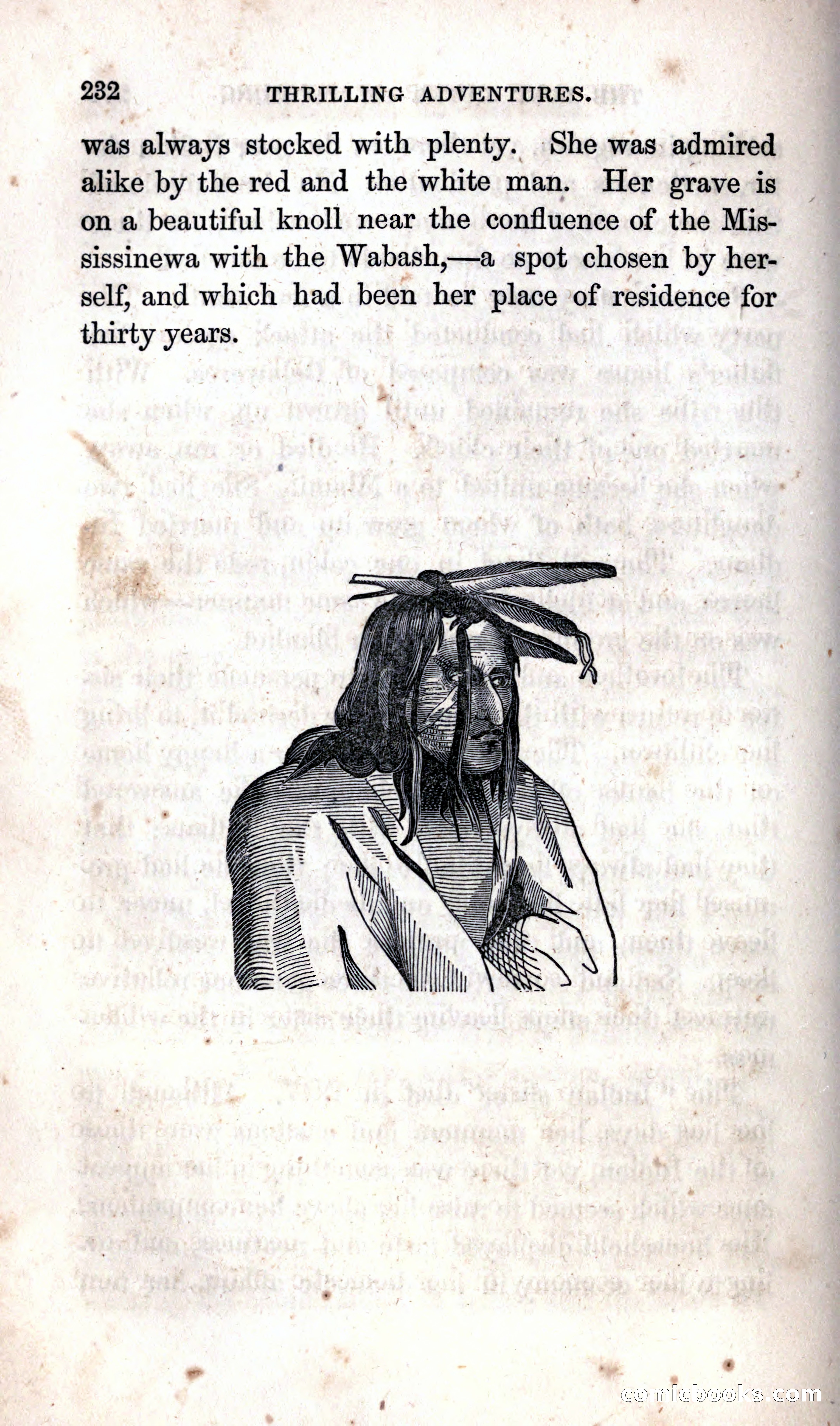 Thrilling Adventures Among the Indians — page 238 of 392