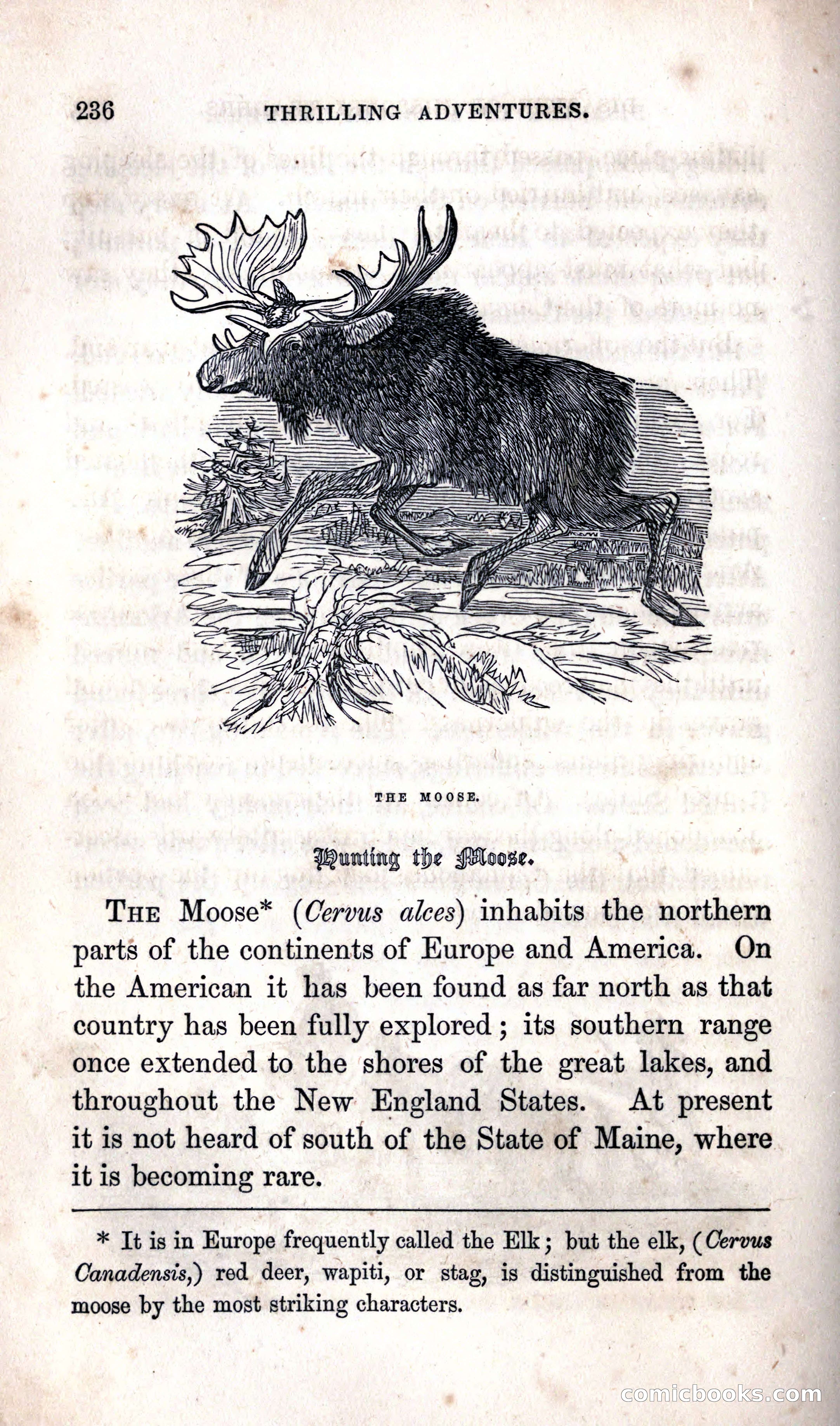 Thrilling Adventures Among the Indians — page 242 of 392