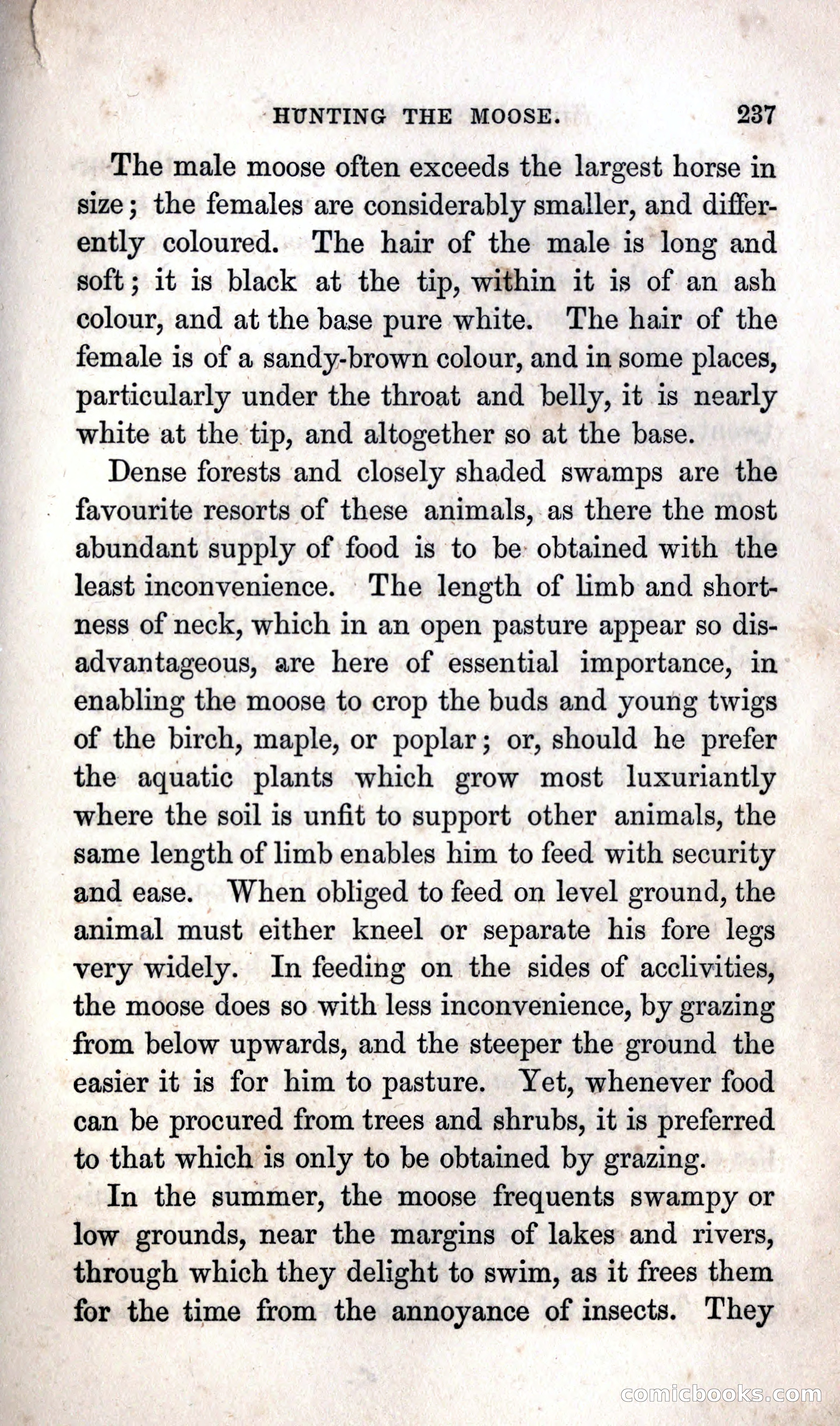 Thrilling Adventures Among the Indians — page 243 of 392