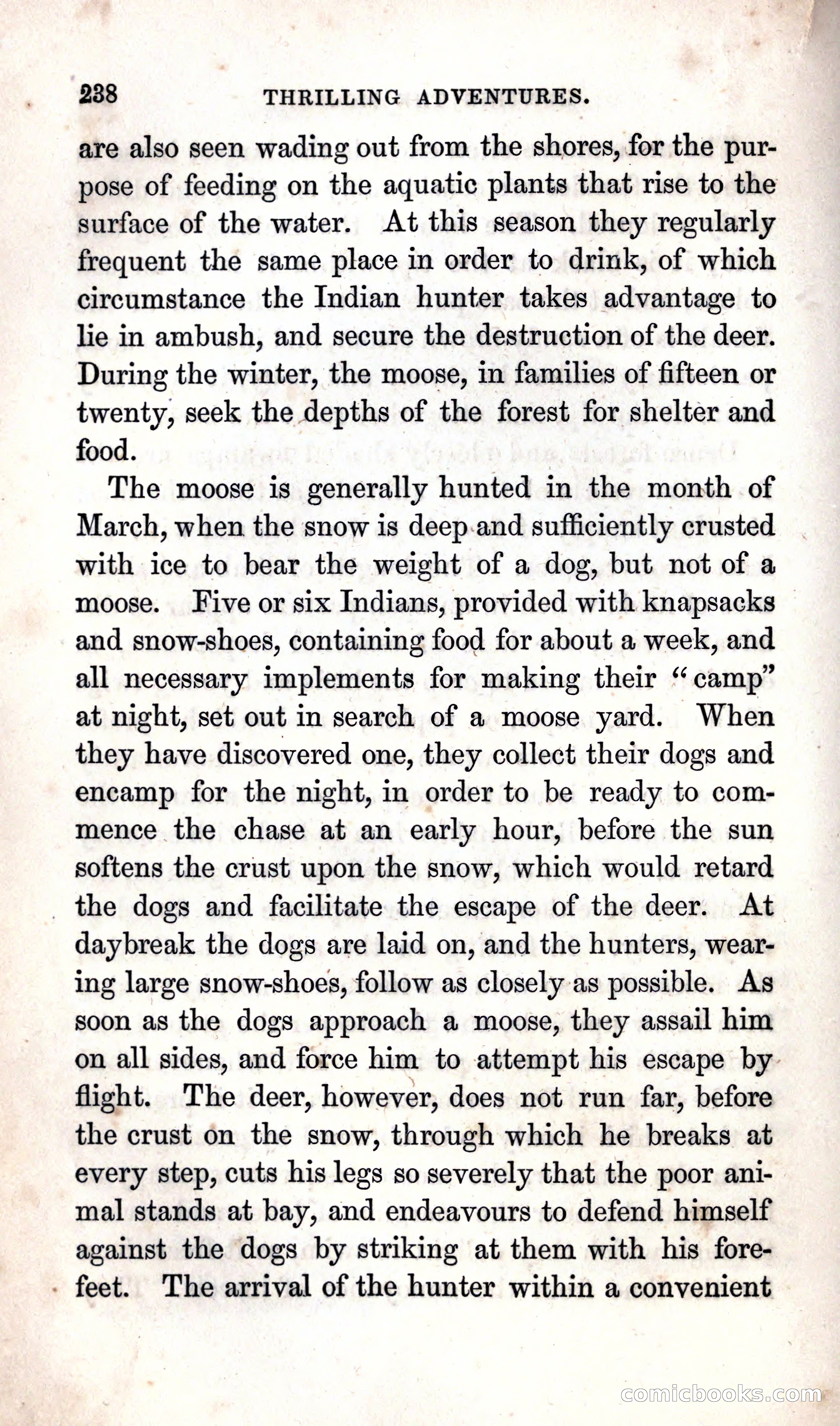 Thrilling Adventures Among the Indians — page 244 of 392