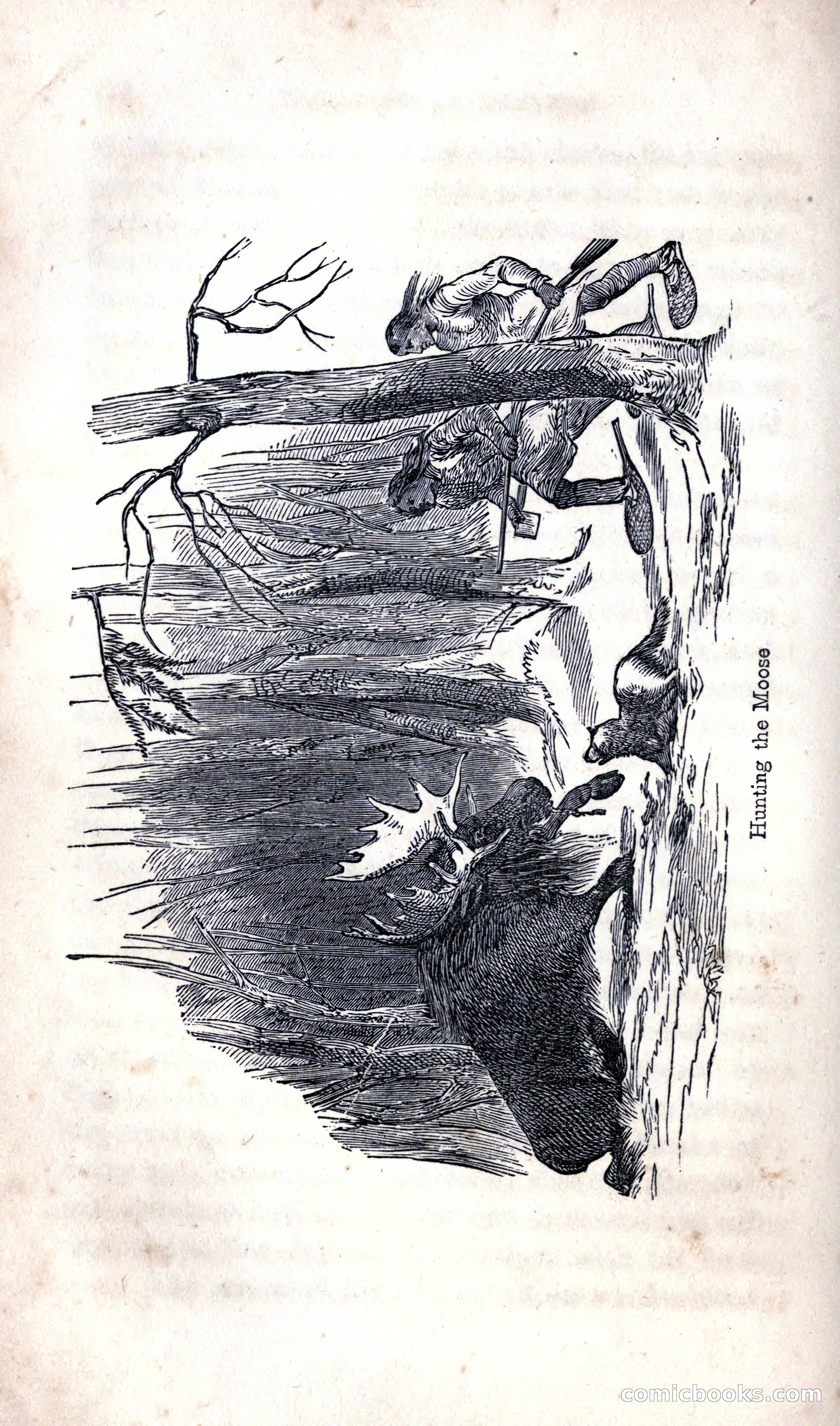 Thrilling Adventures Among the Indians — page 246 of 392