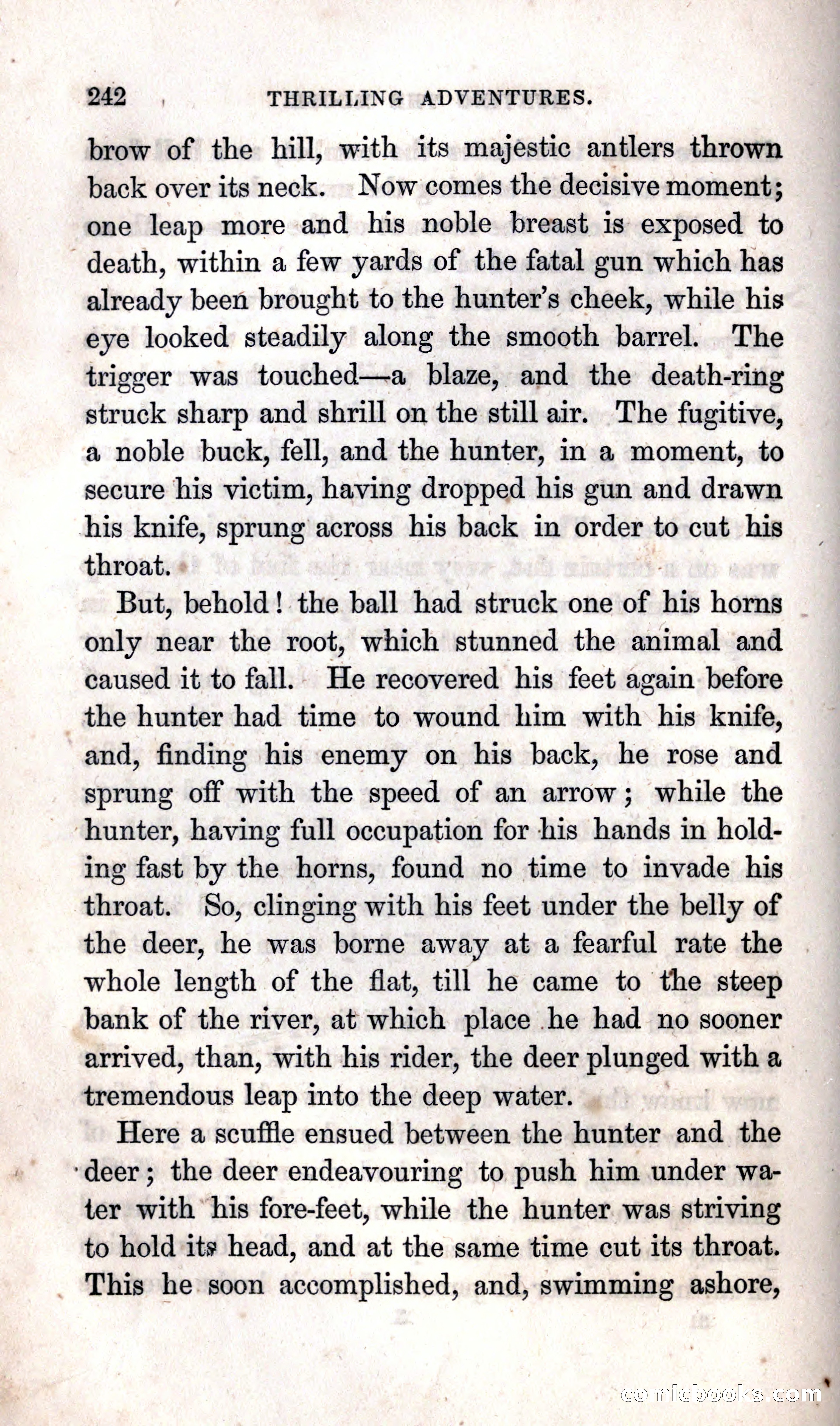 Thrilling Adventures Among the Indians — page 248 of 392