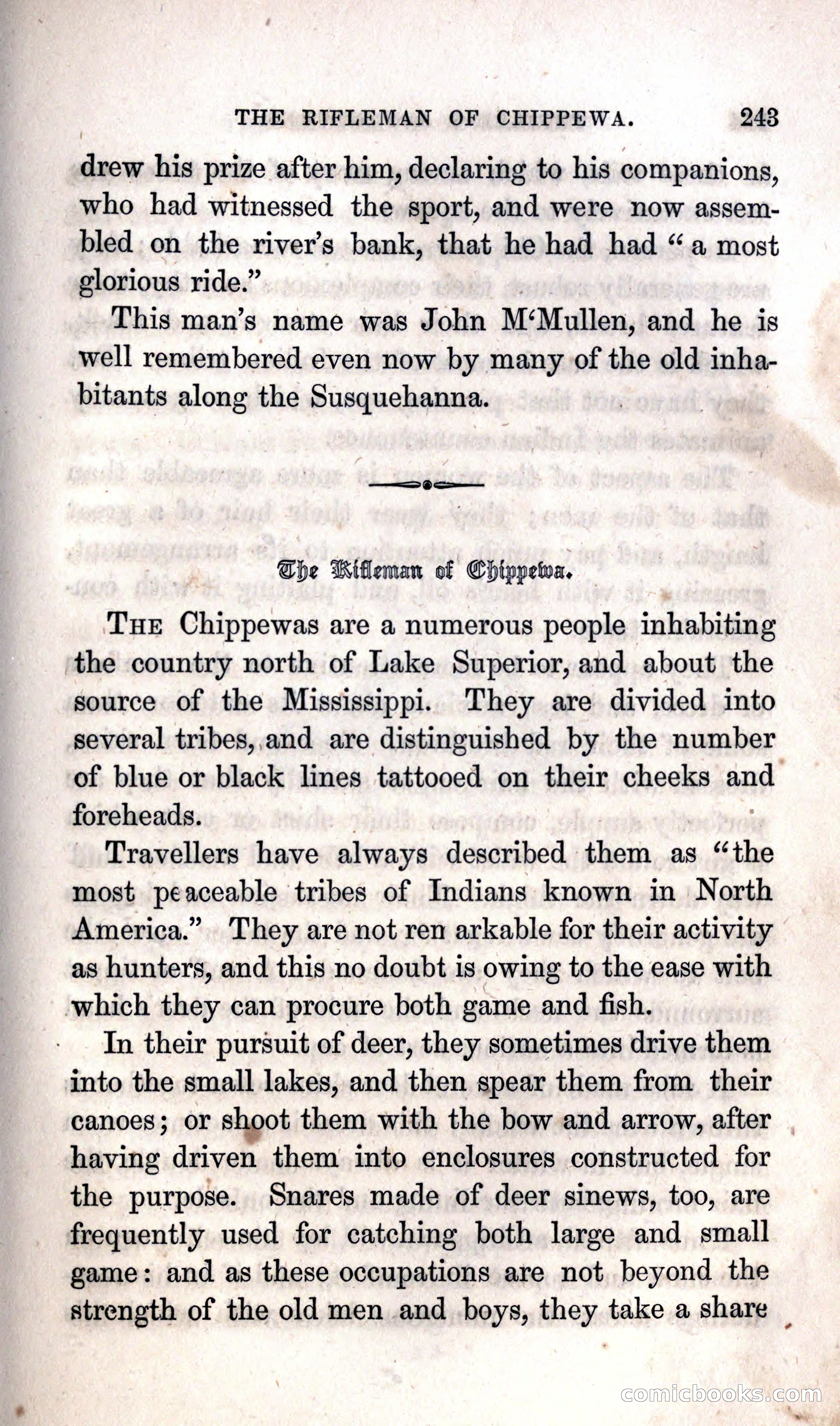 Thrilling Adventures Among the Indians — page 249 of 392