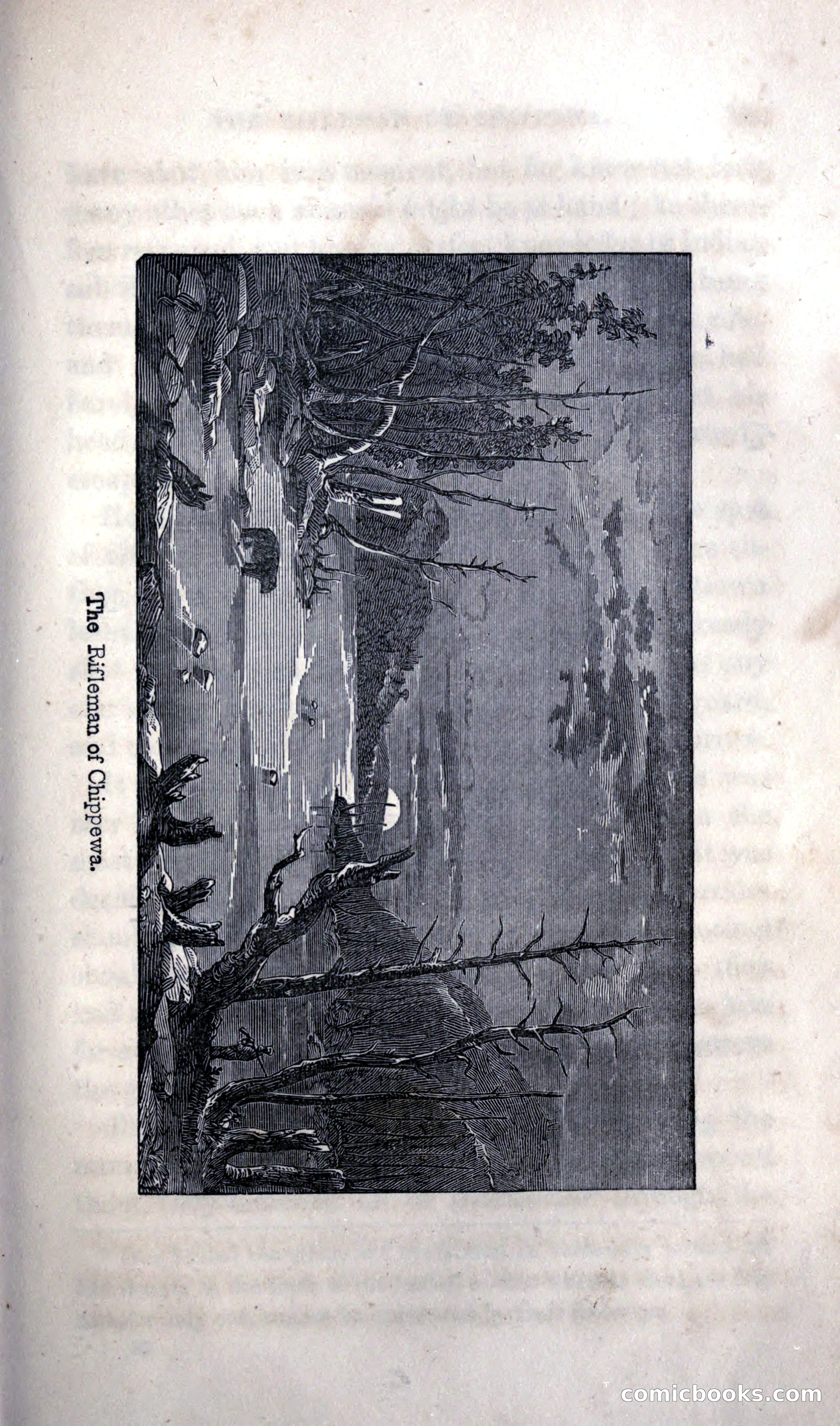 Thrilling Adventures Among the Indians — page 253 of 392