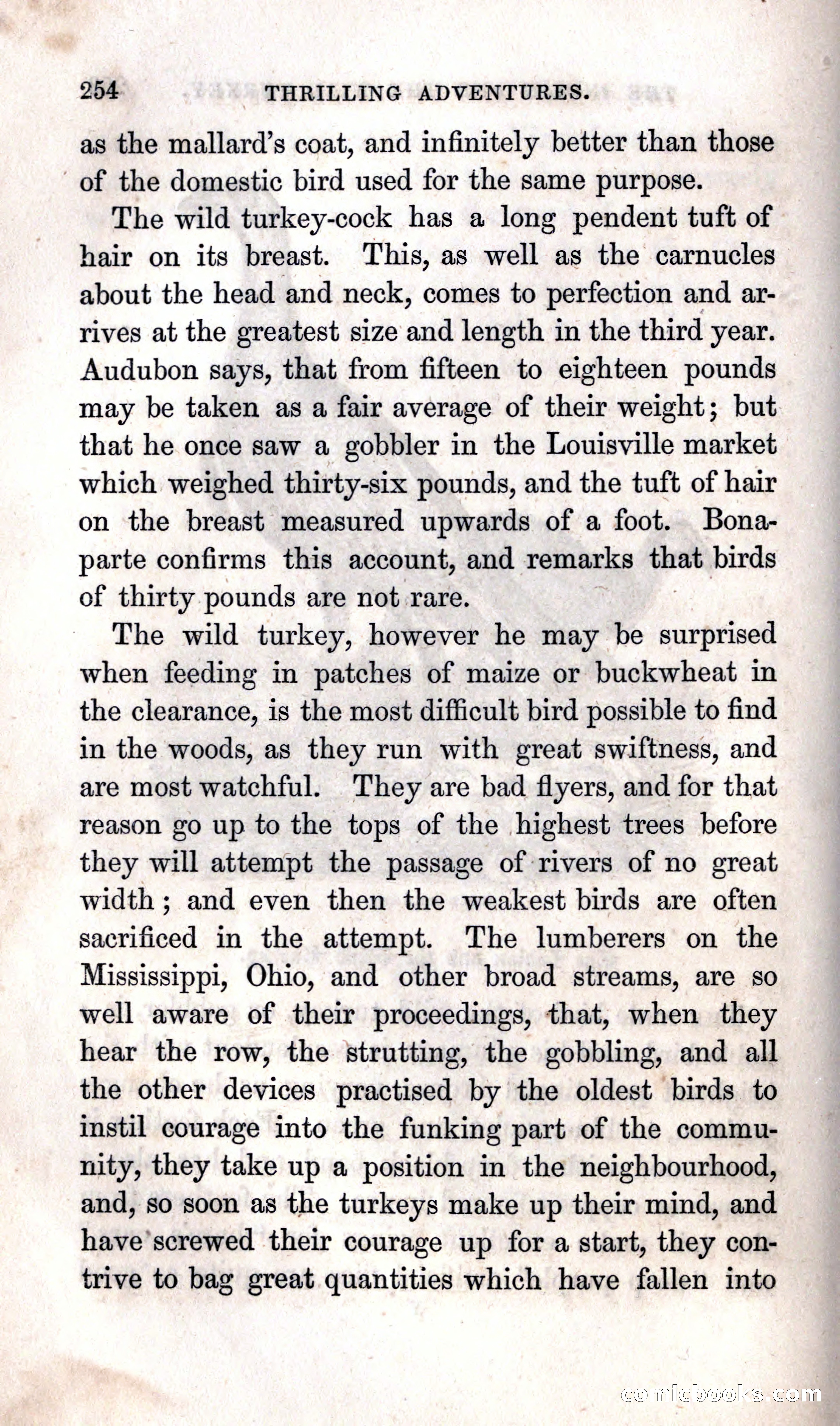 Thrilling Adventures Among the Indians — page 260 of 392