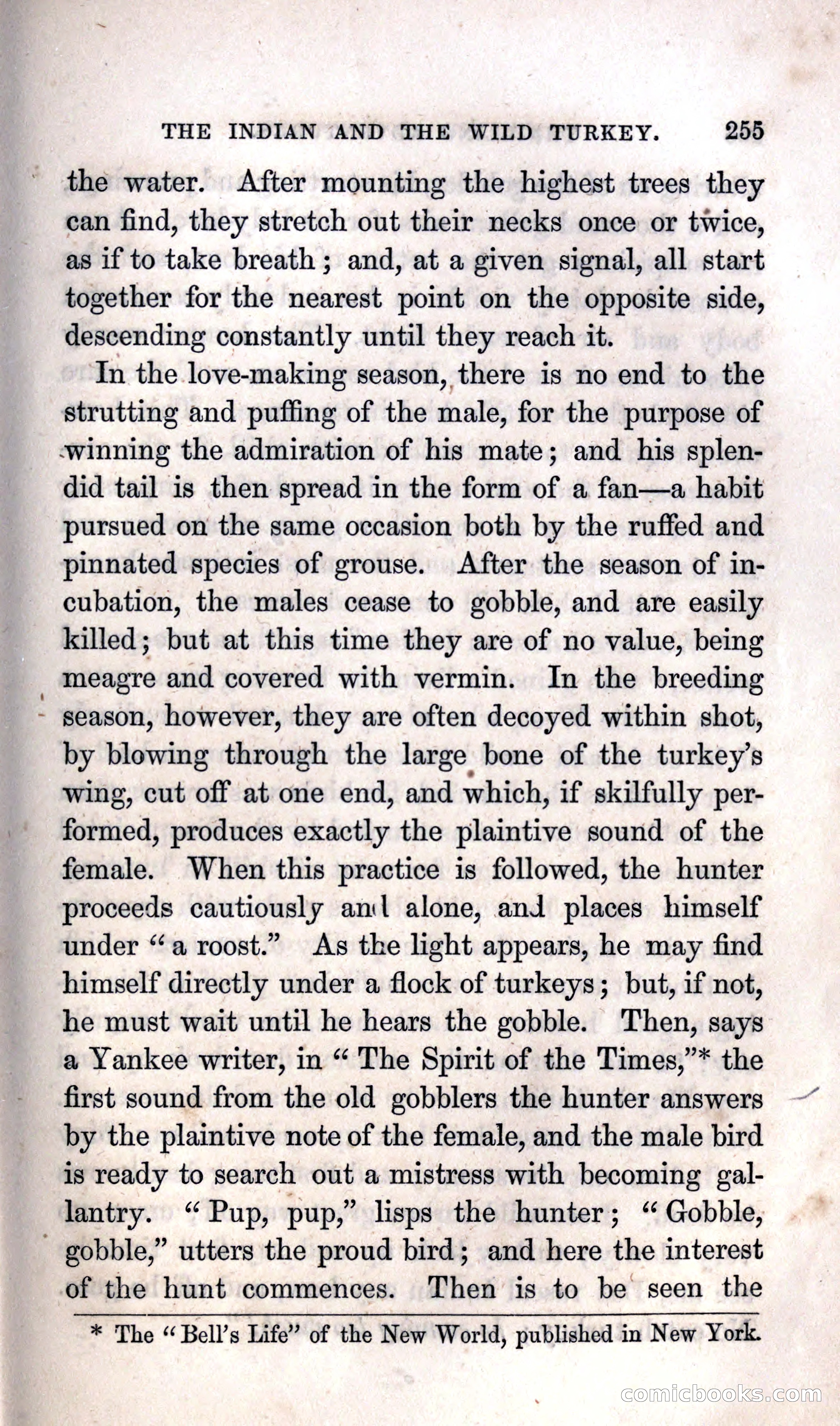 Thrilling Adventures Among the Indians — page 261 of 392