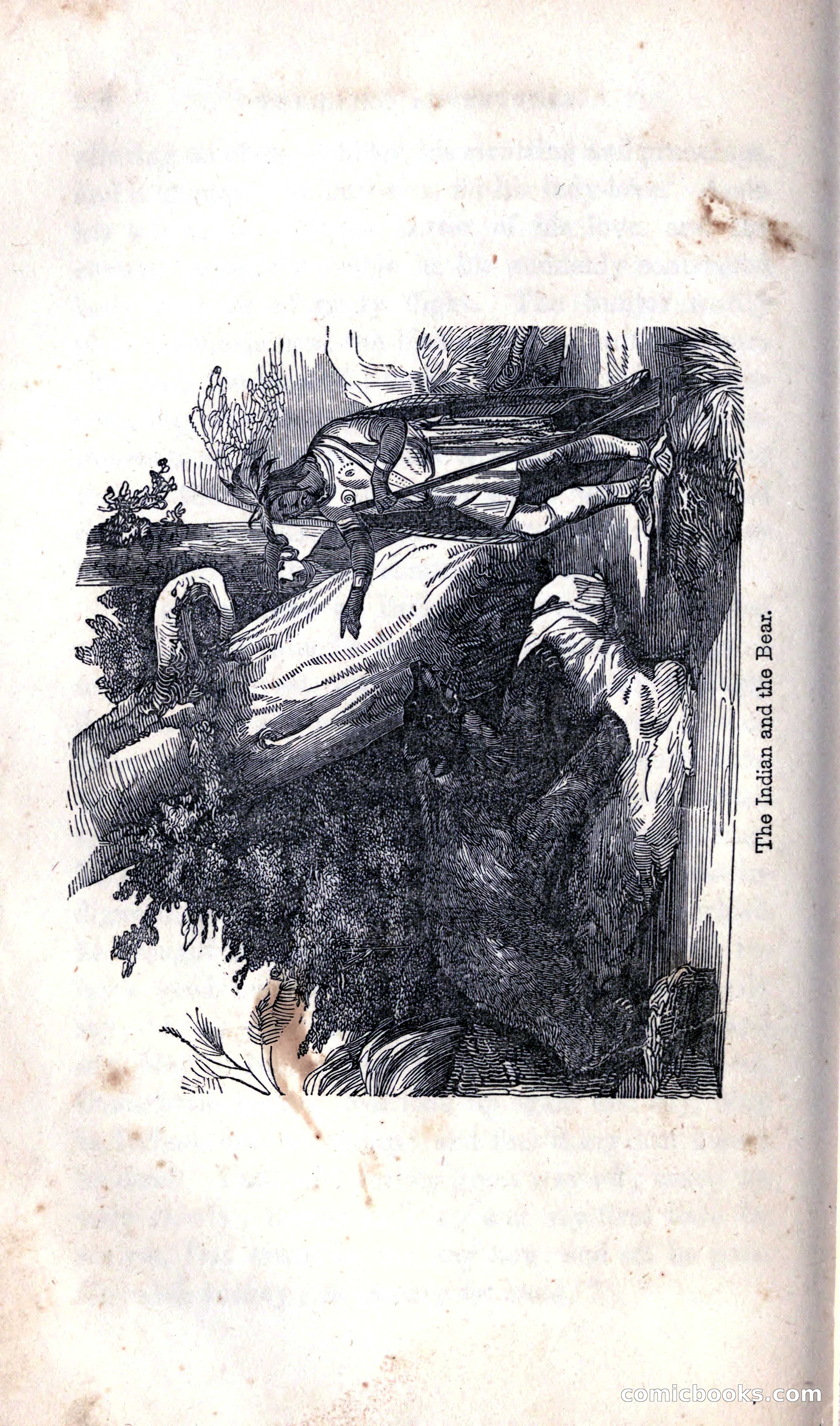 Thrilling Adventures Among the Indians — page 264 of 392