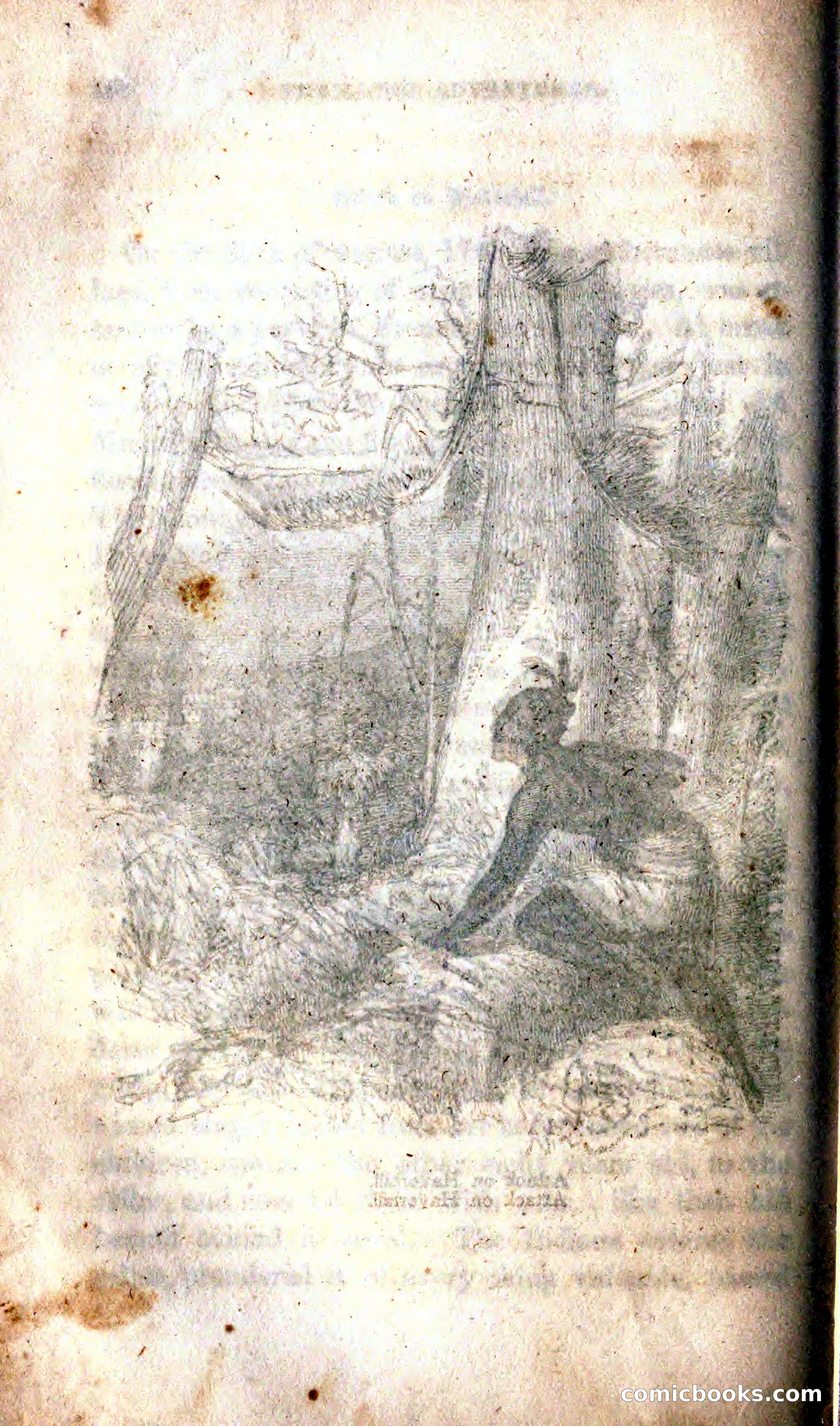 Thrilling Adventures Among the Indians — page 268 of 392