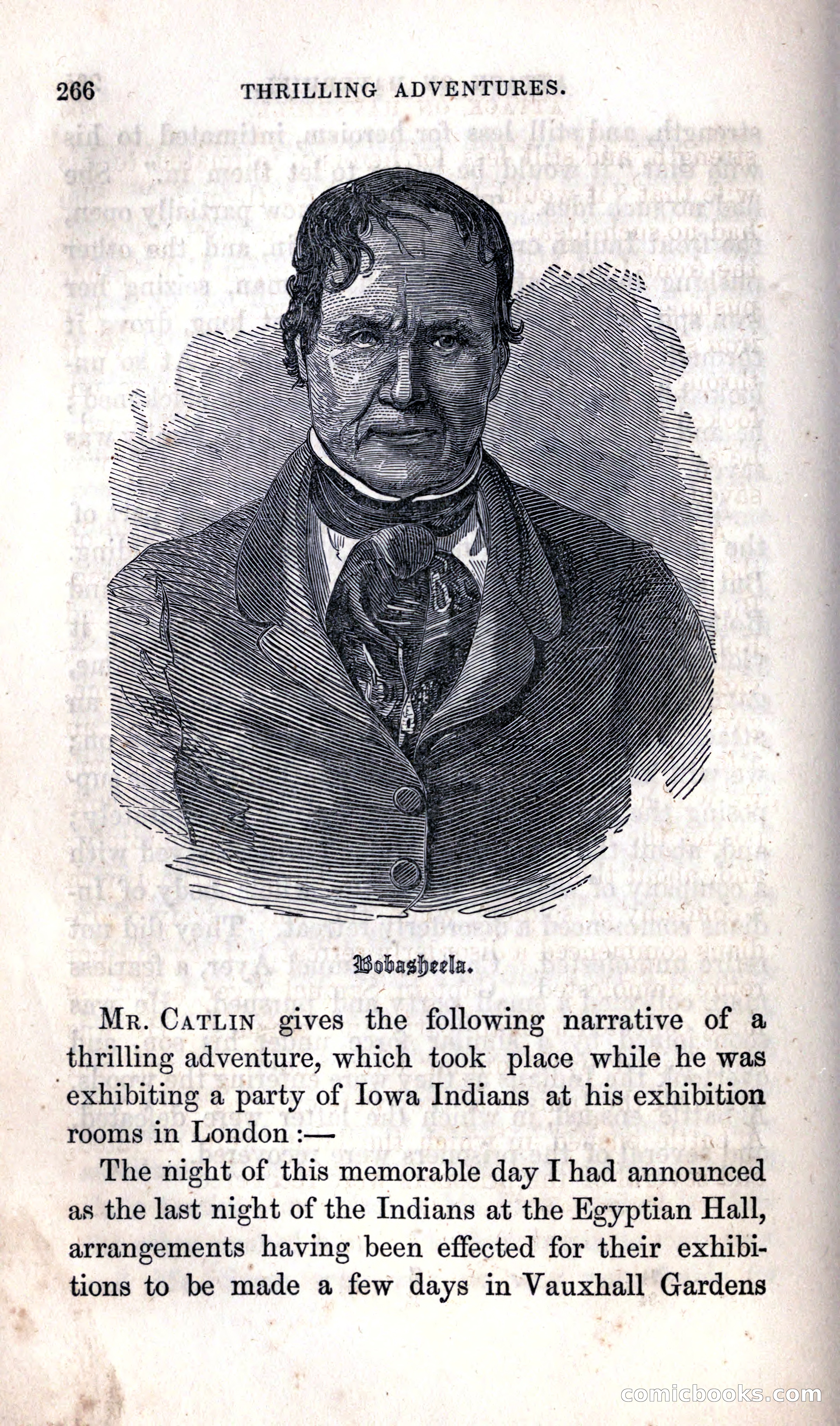 Thrilling Adventures Among the Indians — page 272 of 392