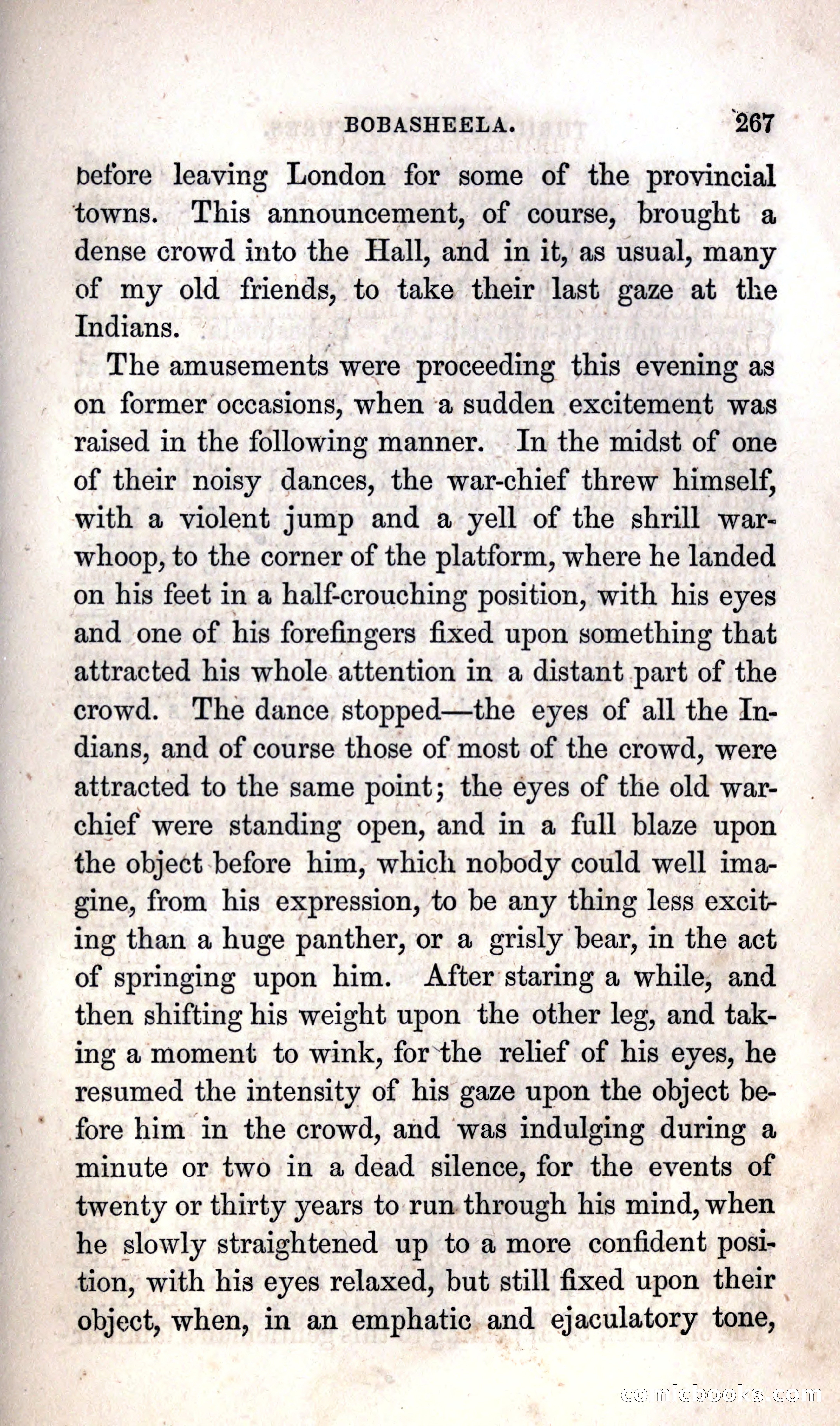 Thrilling Adventures Among the Indians — page 273 of 392