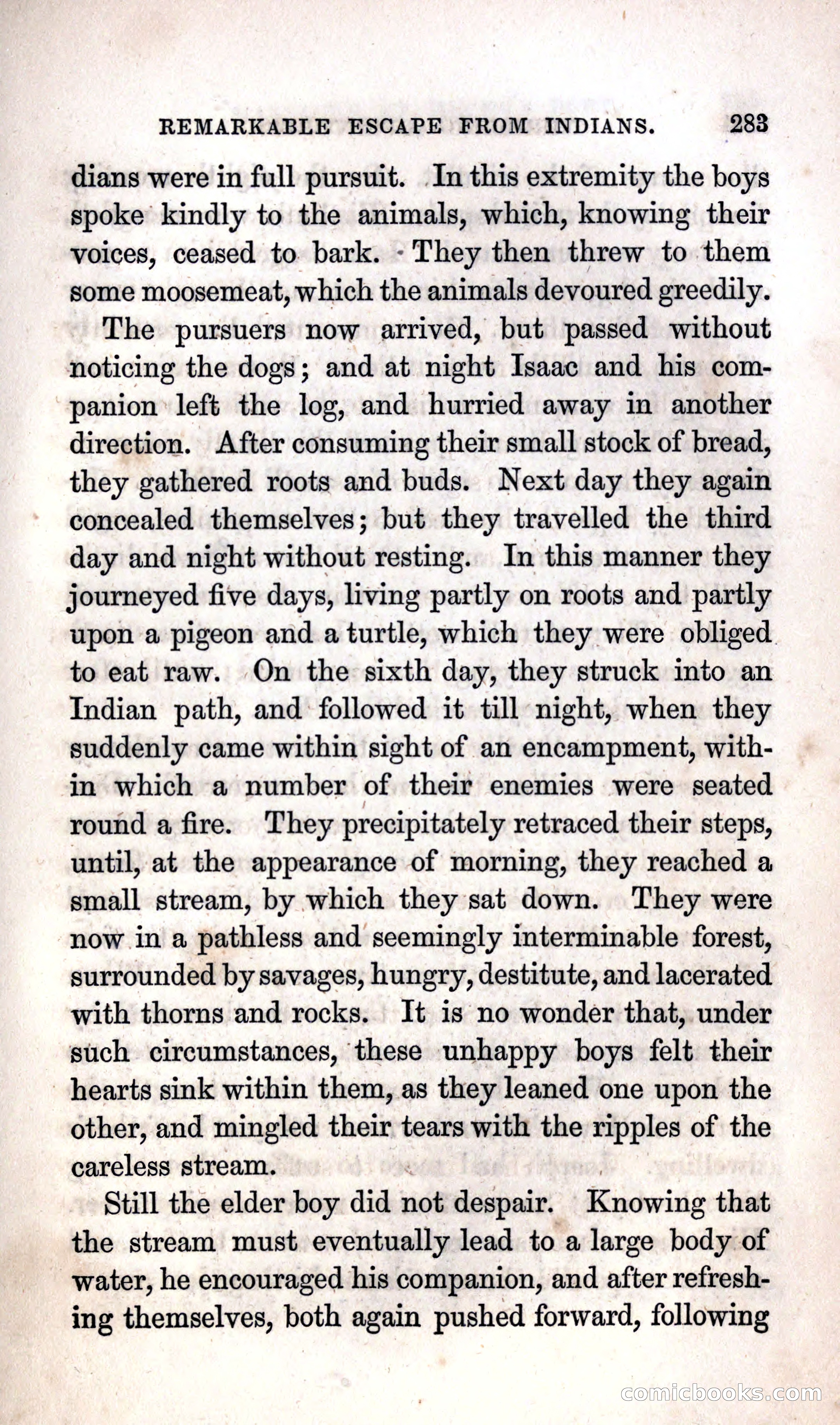 Thrilling Adventures Among the Indians — page 289 of 392