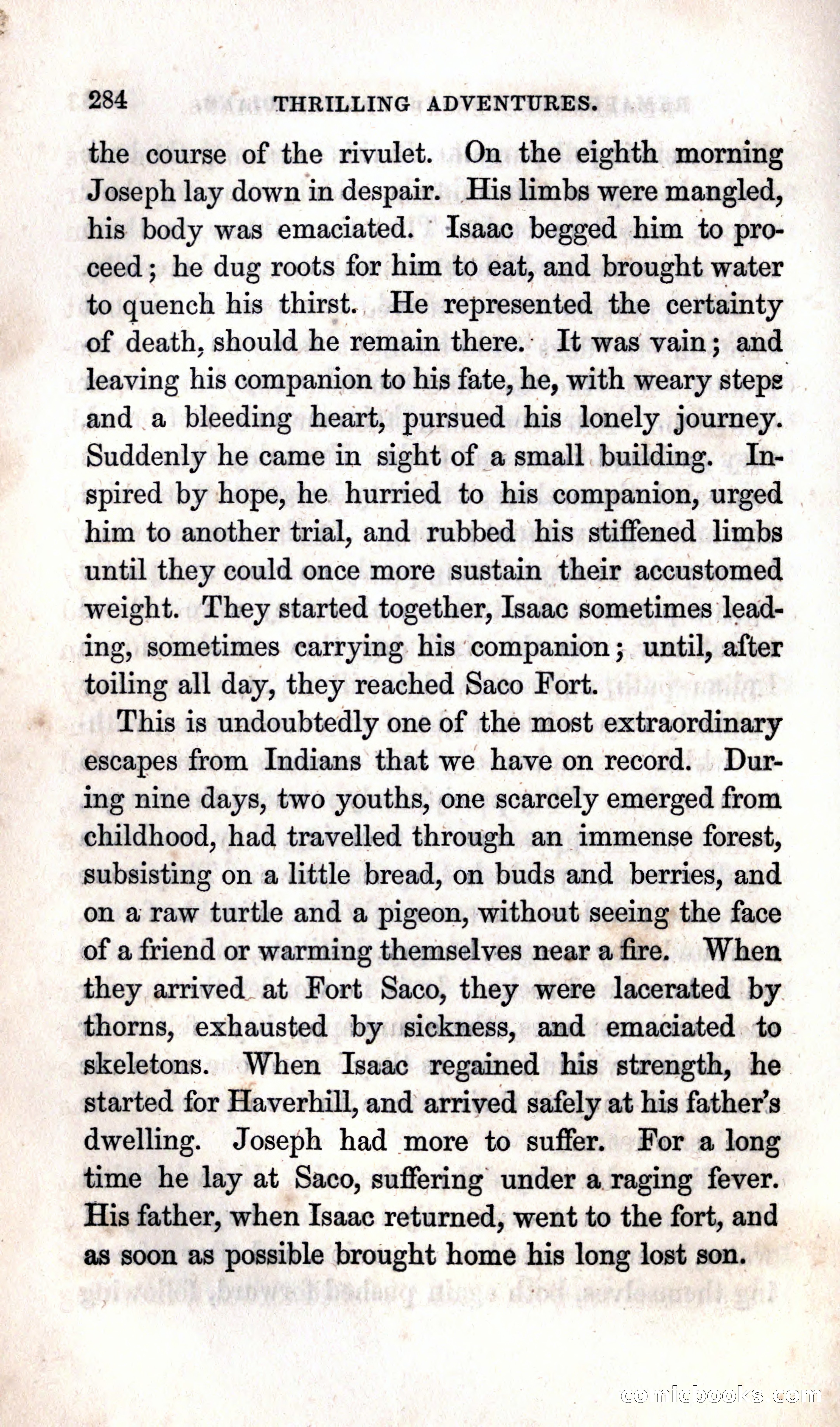 Thrilling Adventures Among the Indians — page 290 of 392