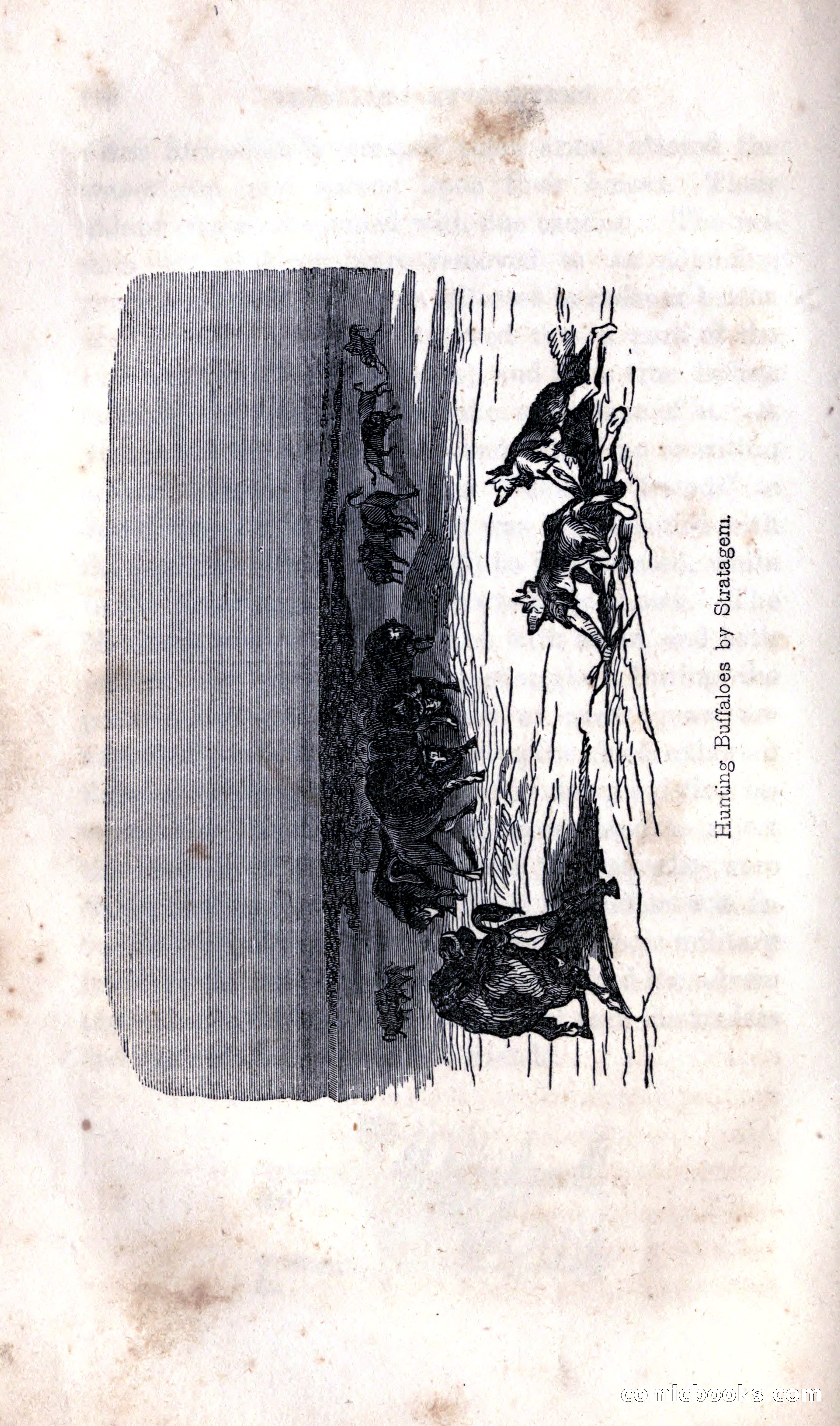 Thrilling Adventures Among the Indians — page 302 of 392
