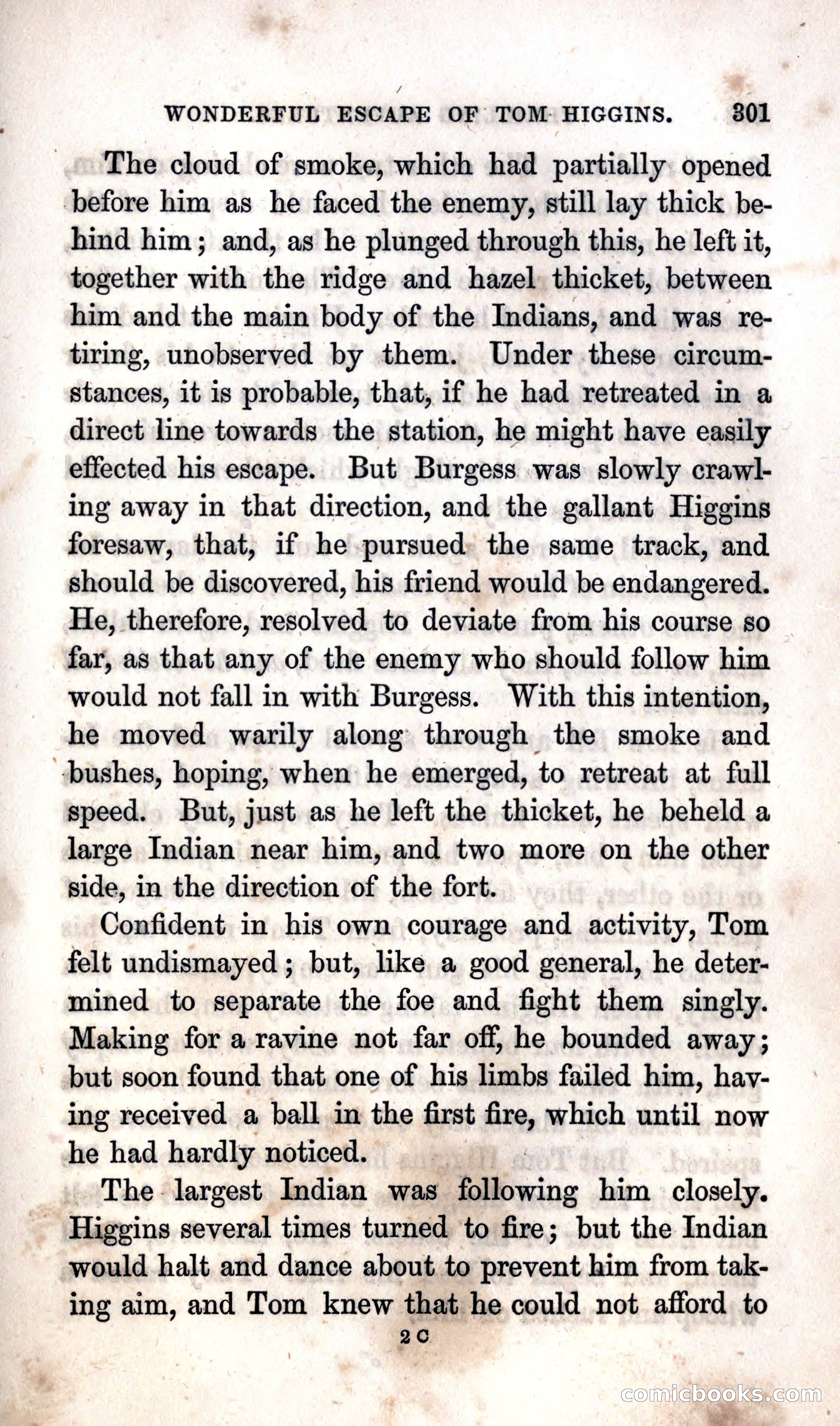 Thrilling Adventures Among the Indians — page 307 of 392