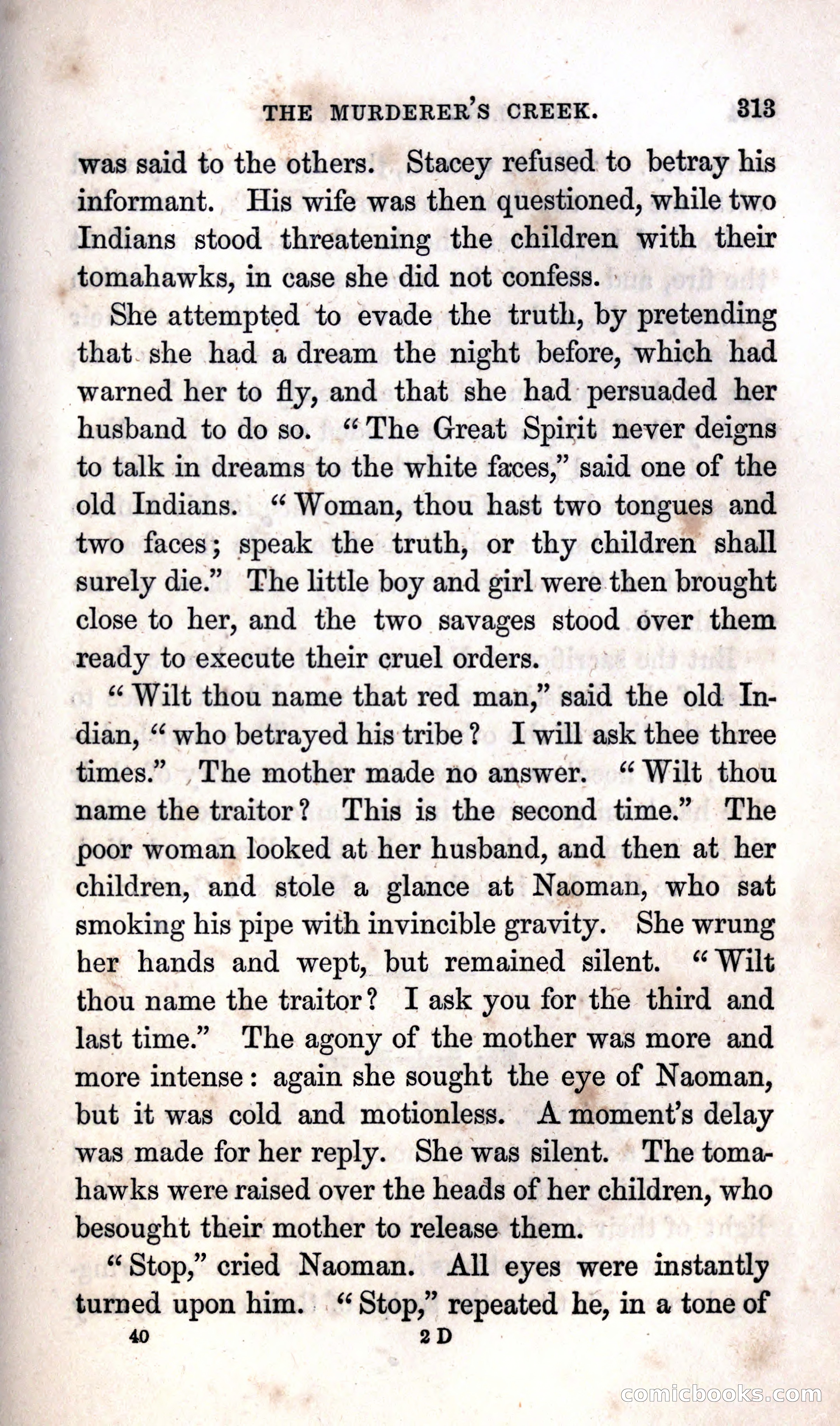 Thrilling Adventures Among the Indians — page 319 of 392